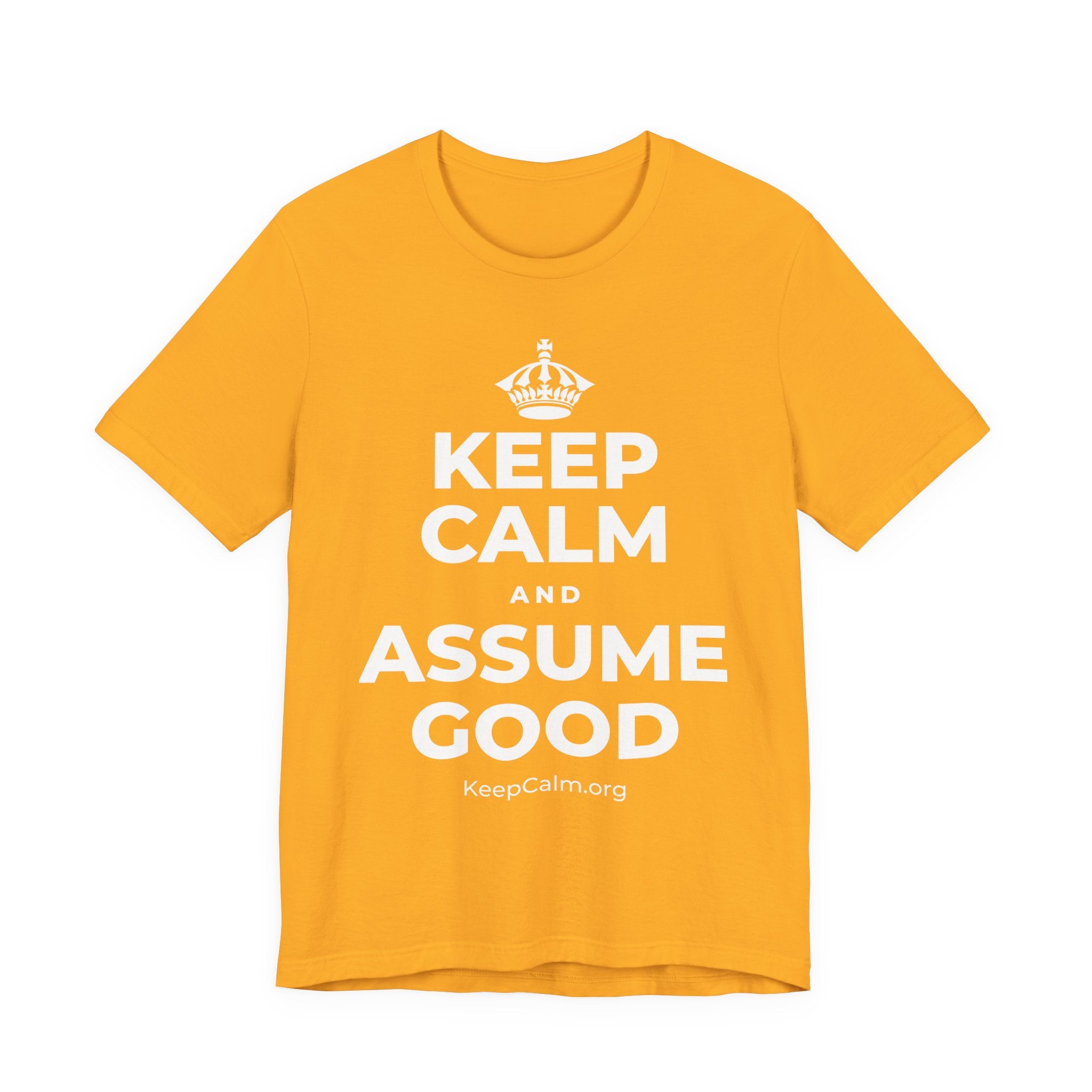 KEEP CALM AND ASSUME GOOD T-Shirt (Baby Blue–Silver)