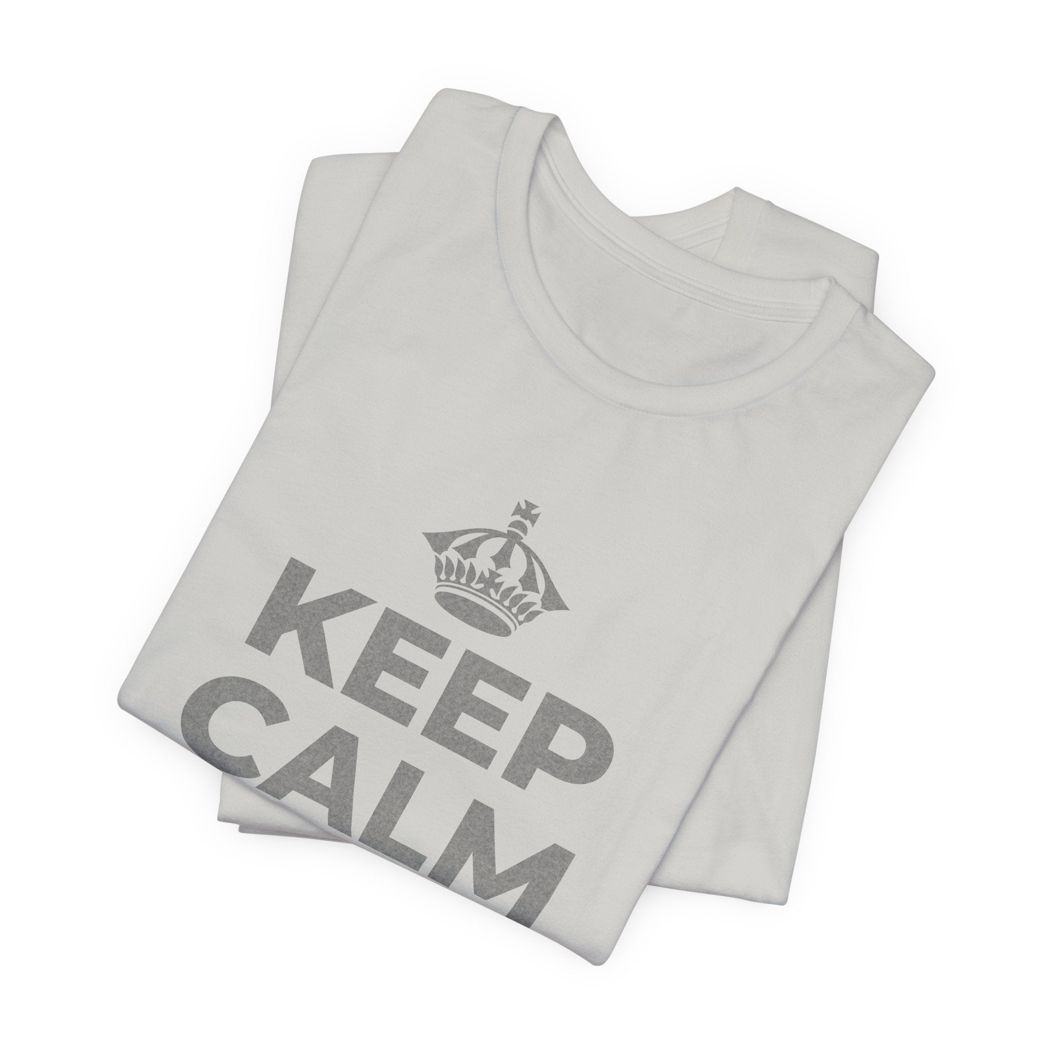 KEEP CALM AND OWN IT T-Shirt (Baby Blue–Silver)
