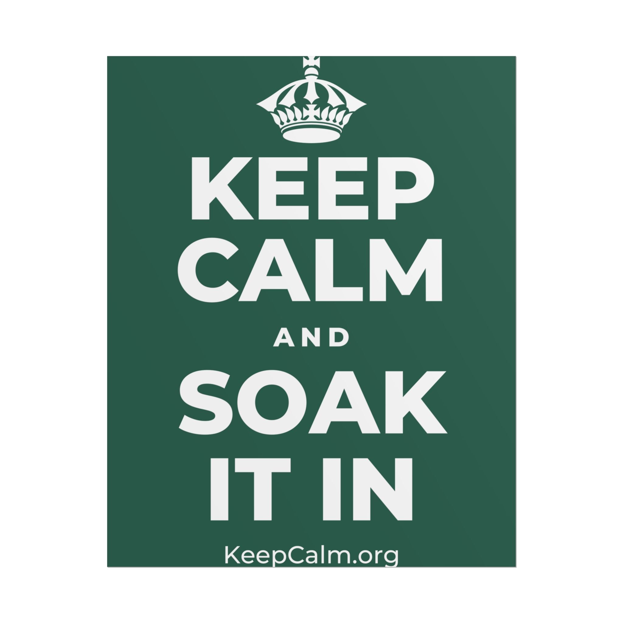 KEEP CALM AND SOAK IT IN Poster