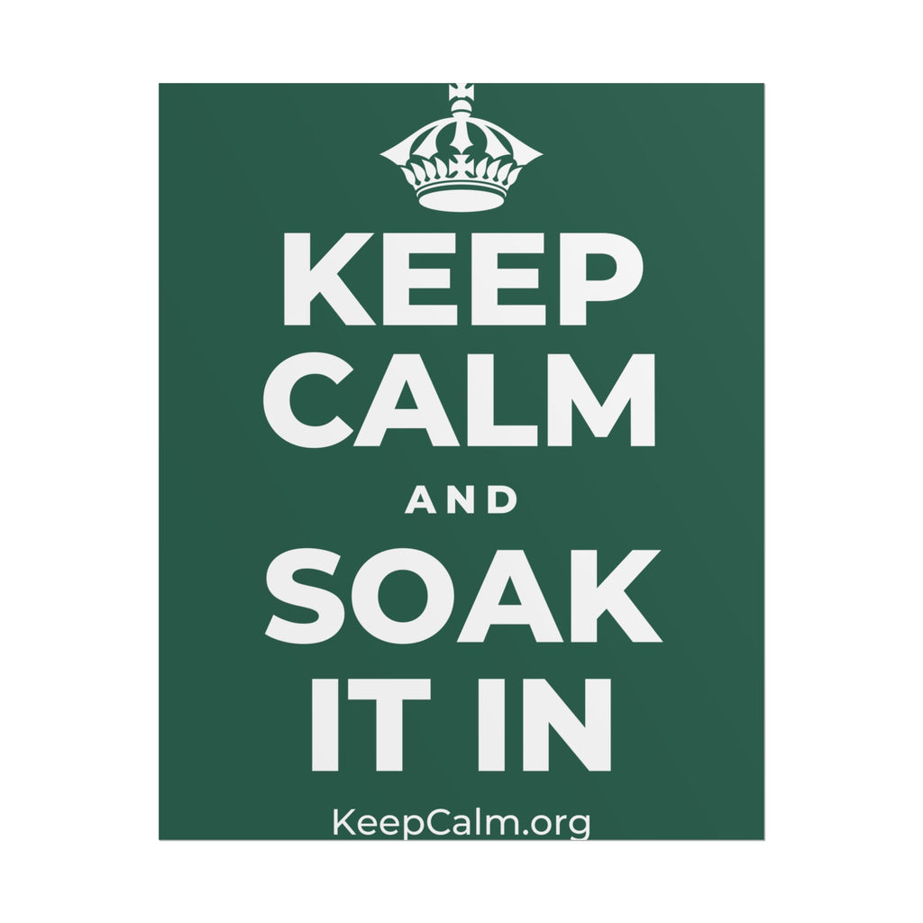KEEP CALM AND SOAK IT IN Poster