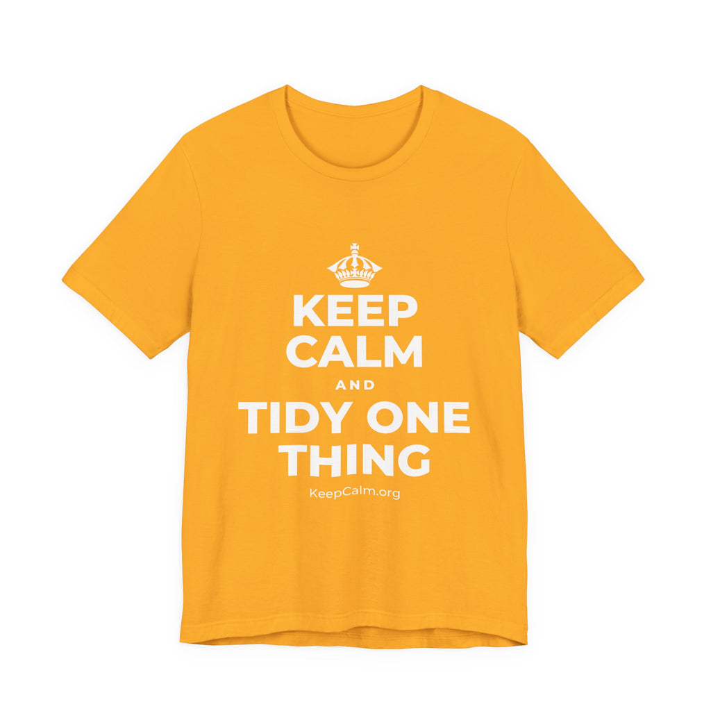 KEEP CALM AND TIDY ONE THING T-Shirt (Baby Blue–Silver)