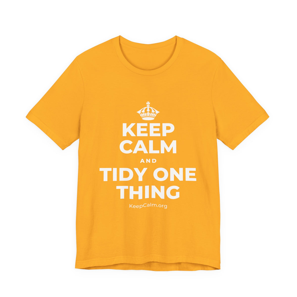 KEEP CALM AND TIDY ONE THING T-Shirt (Baby Blue–Silver)