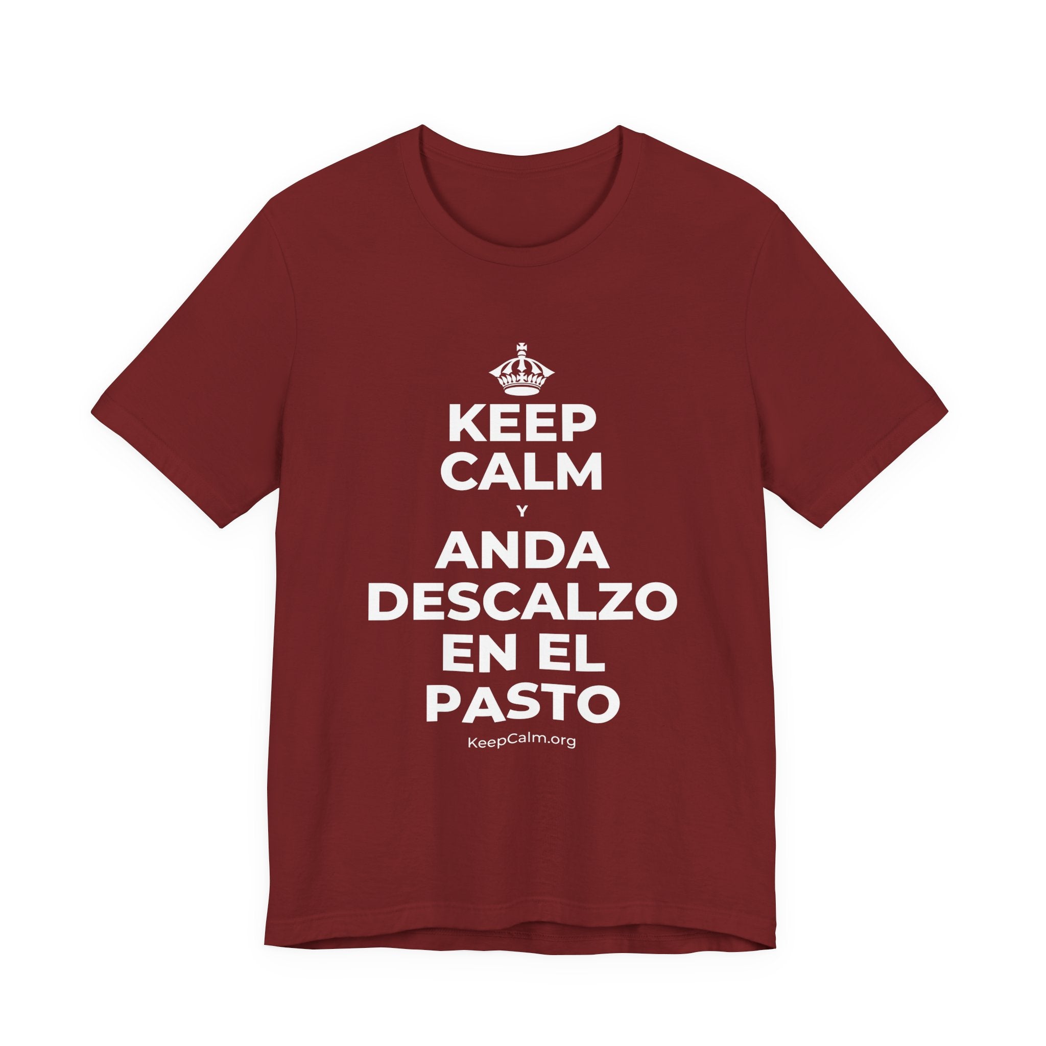 KEEP CALM Y ANDA DESCALZO EN EL PASTO T-Shirt (Baby Blue–Silver)