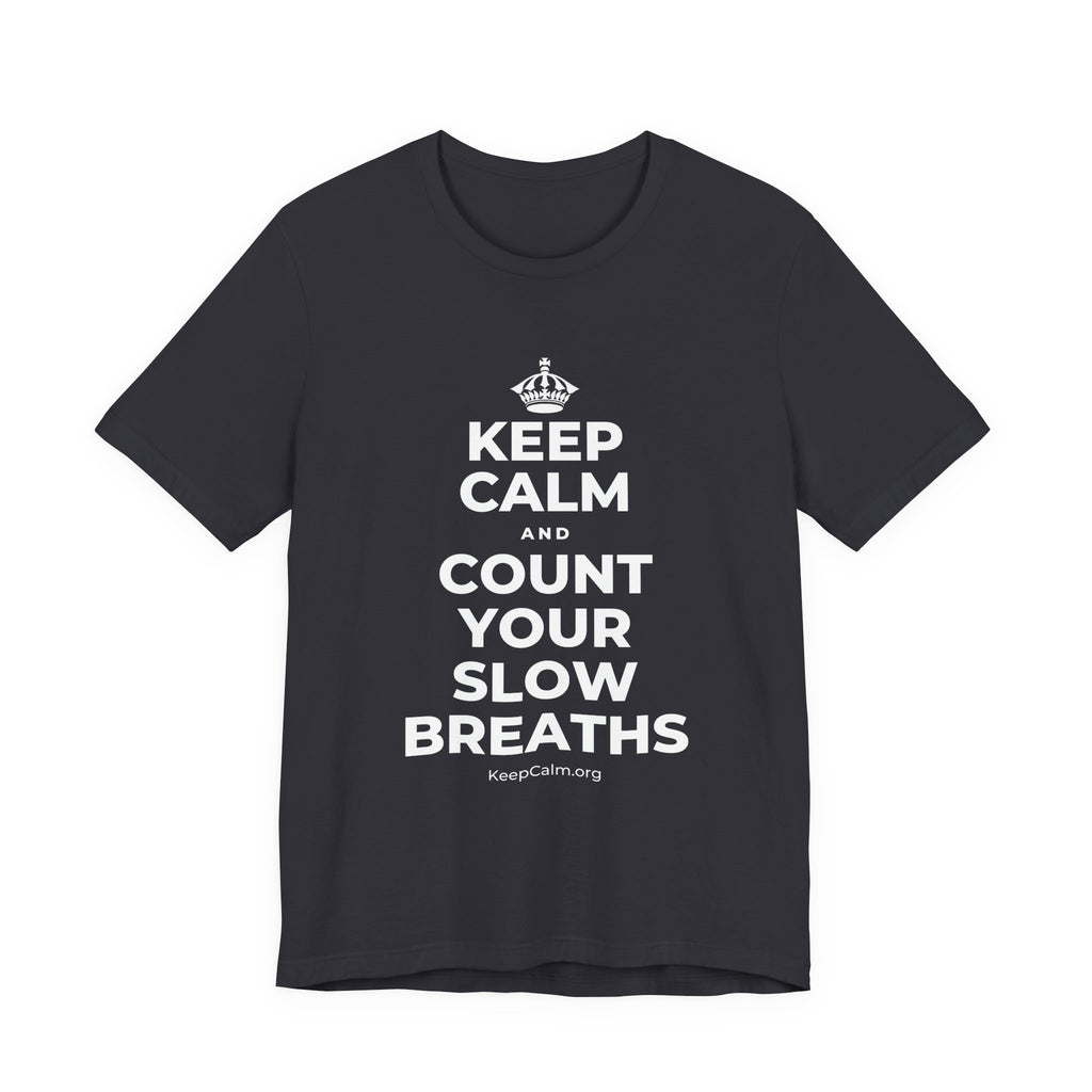 KEEP CALM AND COUNT YOUR SLOW BREATHS T-Shirt (Baby Blue–Silver)