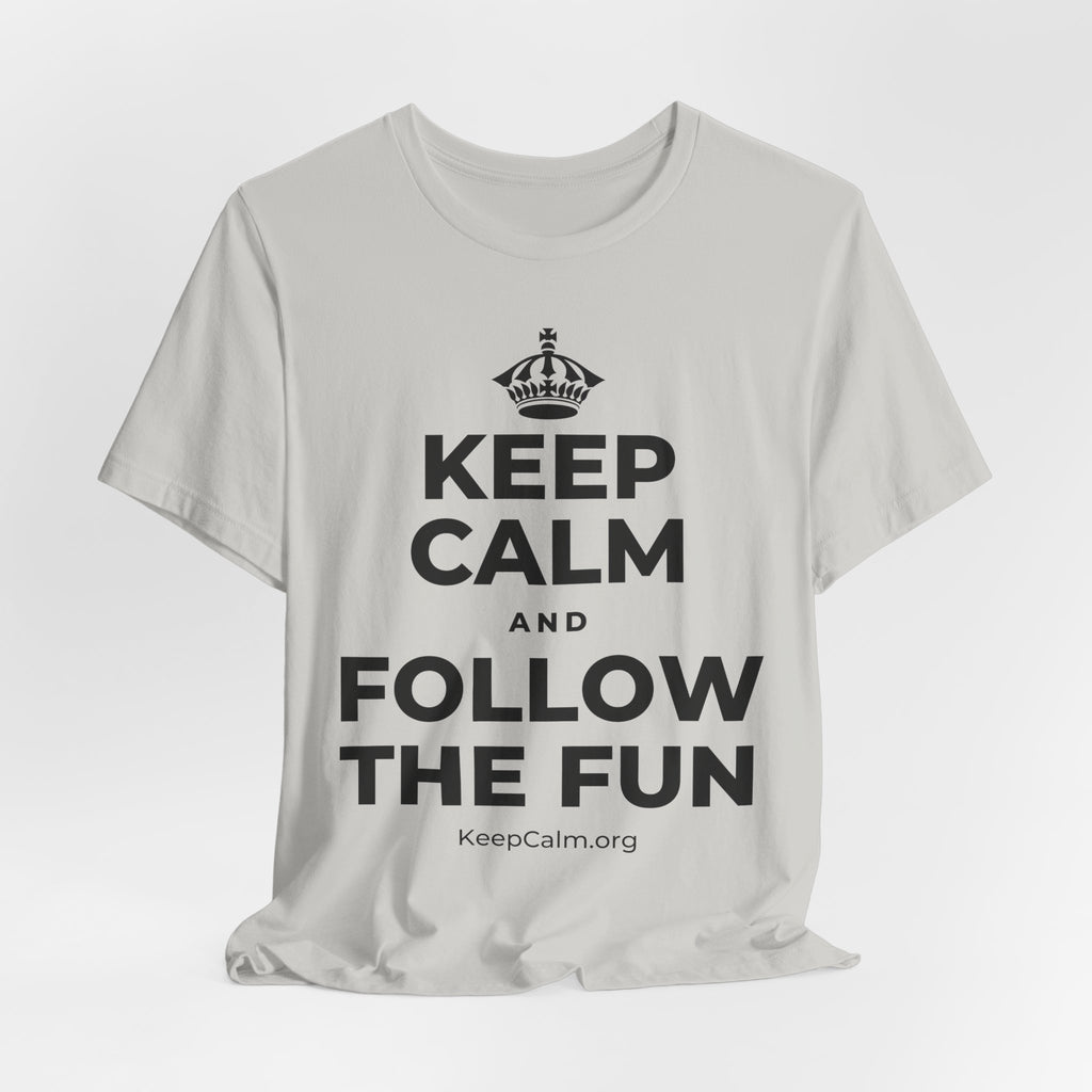 KEEP CALM AND FOLLOW THE FUN T-Shirt (Baby Blue–Silver)