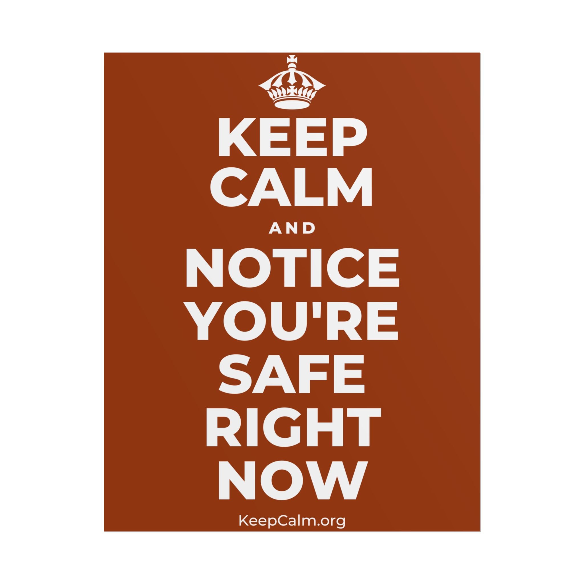 KEEP CALM AND NOTICE YOU'RE SAFE RIGHT NOW Poster