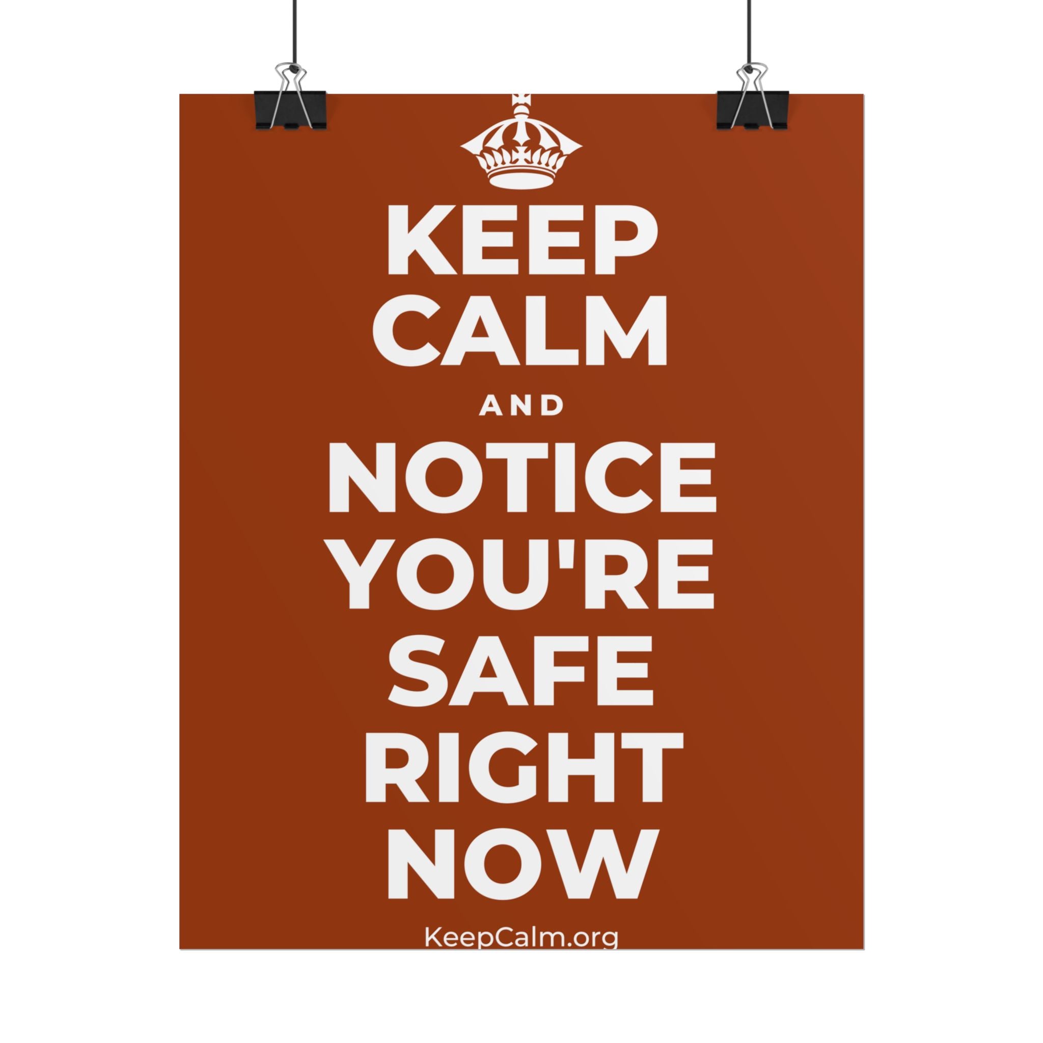 KEEP CALM AND NOTICE YOU'RE SAFE RIGHT NOW Poster