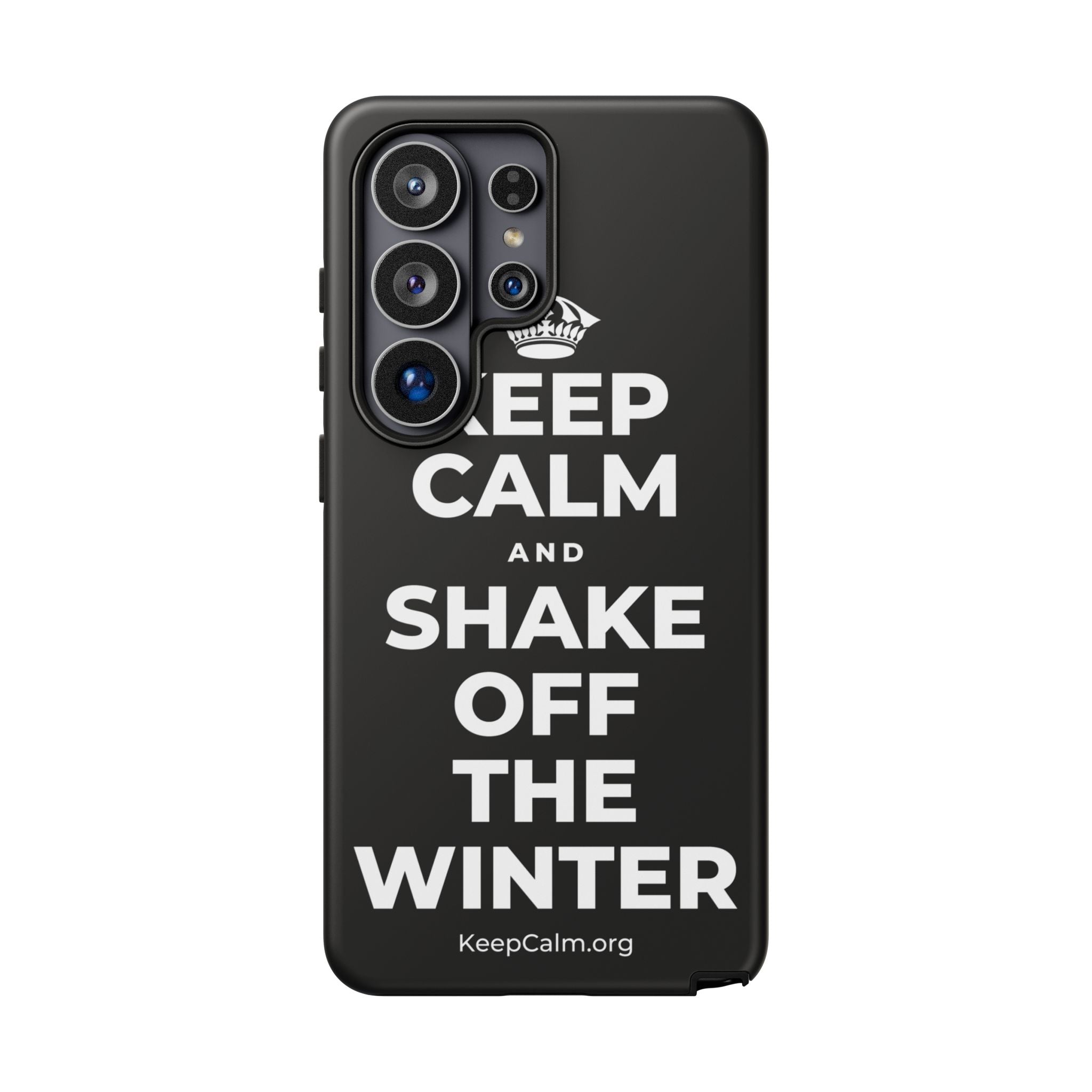 KEEP CALM AND SHAKE OFF THE WINTER Phone Case