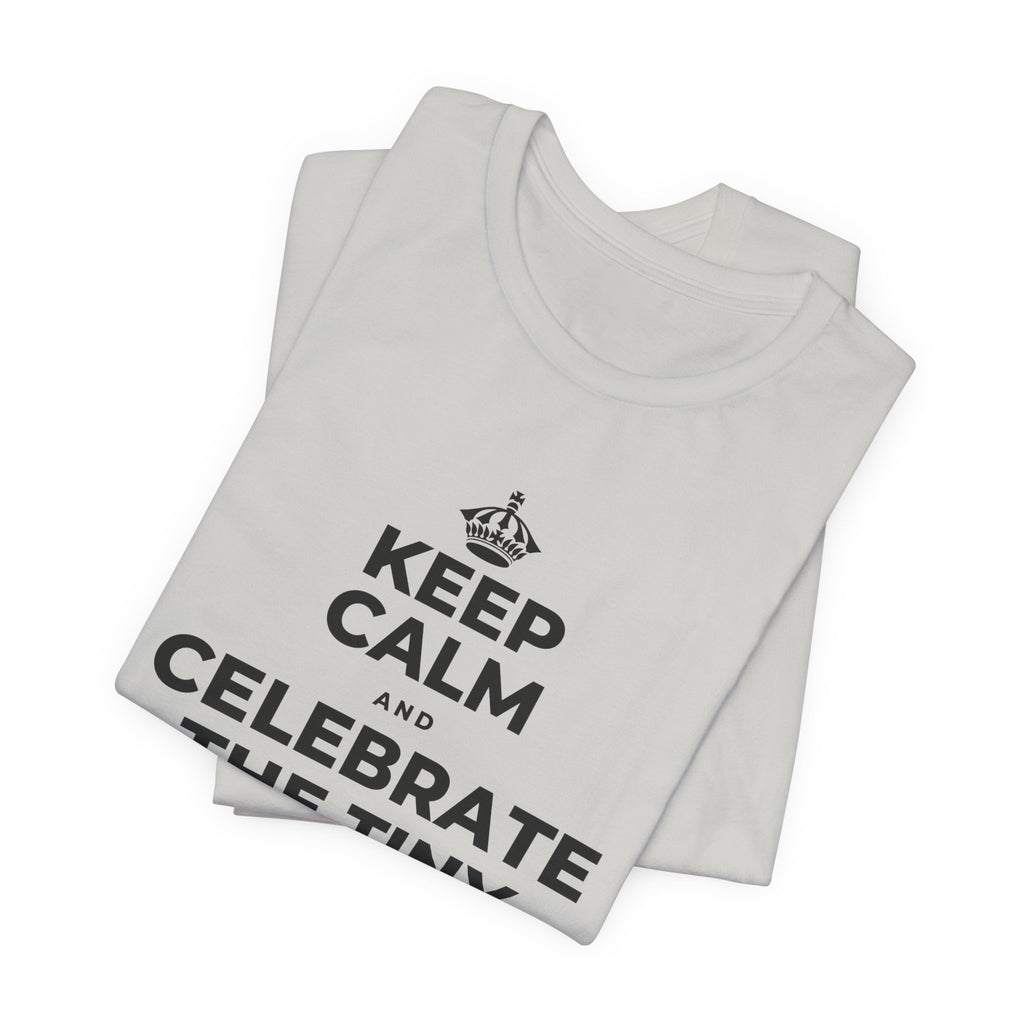 KEEP CALM AND CELEBRATE THE TINY VICTORIES EVERY SINGLE DAY T-Shirt (Baby Blue–Silver)