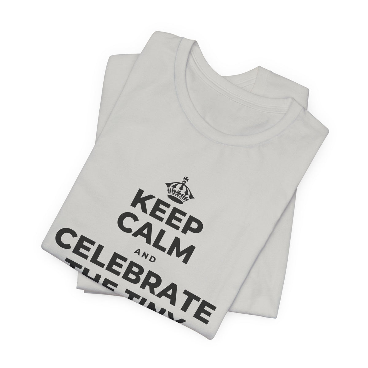 KEEP CALM AND CELEBRATE THE TINY VICTORIES EVERY SINGLE DAY T-Shirt (Baby Blue–Silver)
