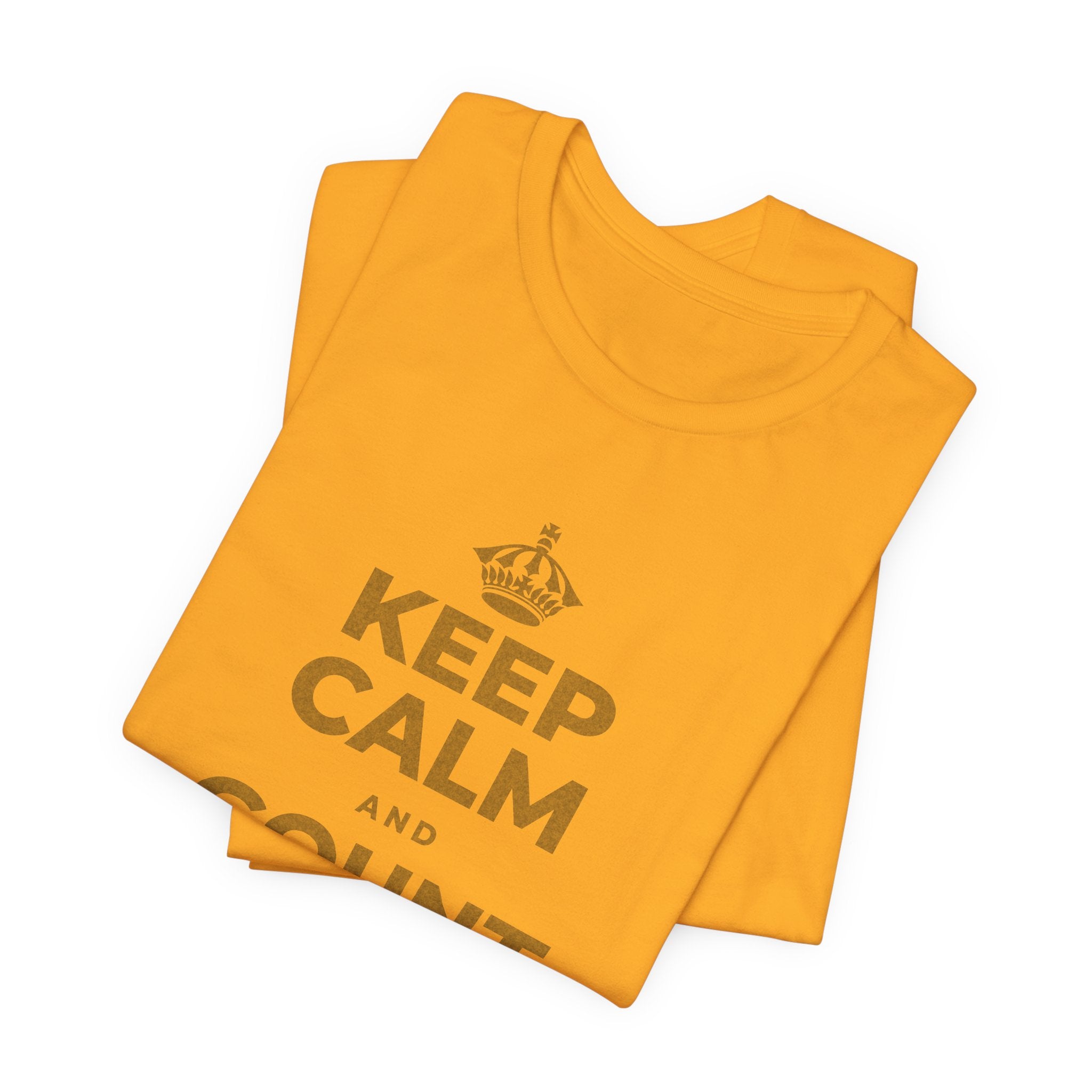 KEEP CALM AND COUNT WHAT YOU HAVE T-Shirt (Baby Blue–Silver)