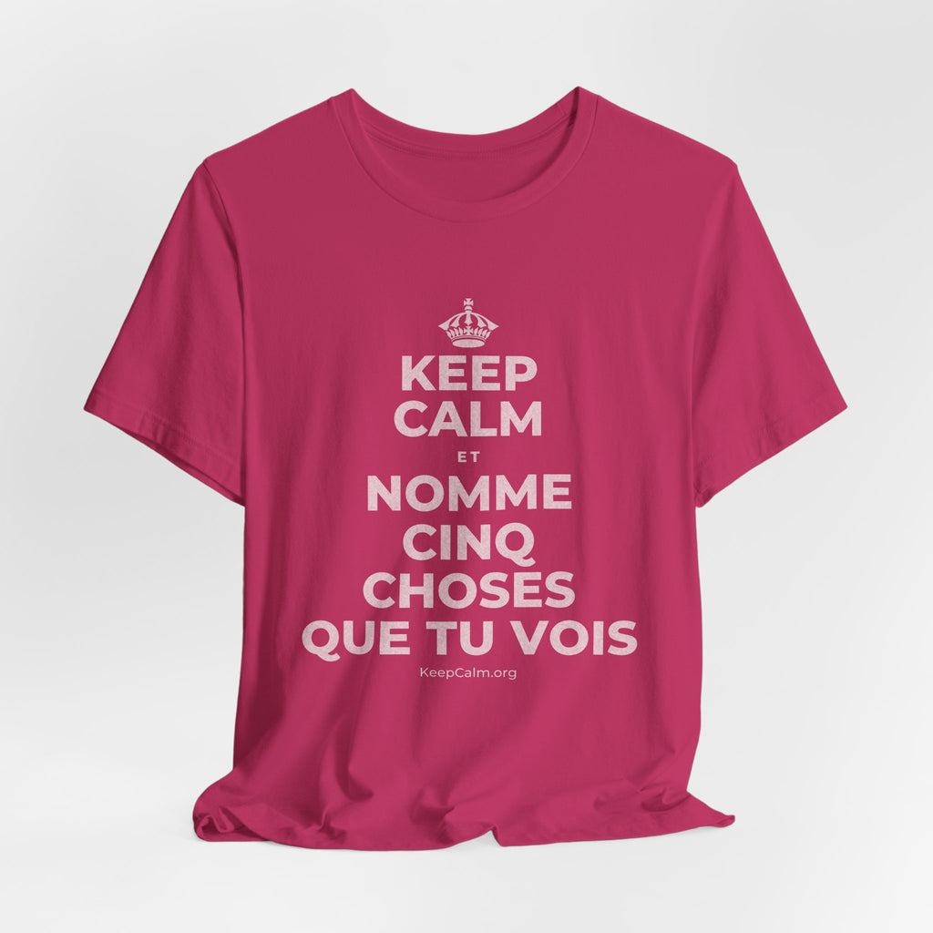 KEEP CALM ET NOMME CINQ CHOSES QUE TU VOIS T-Shirt (Baby Blue–Silver)