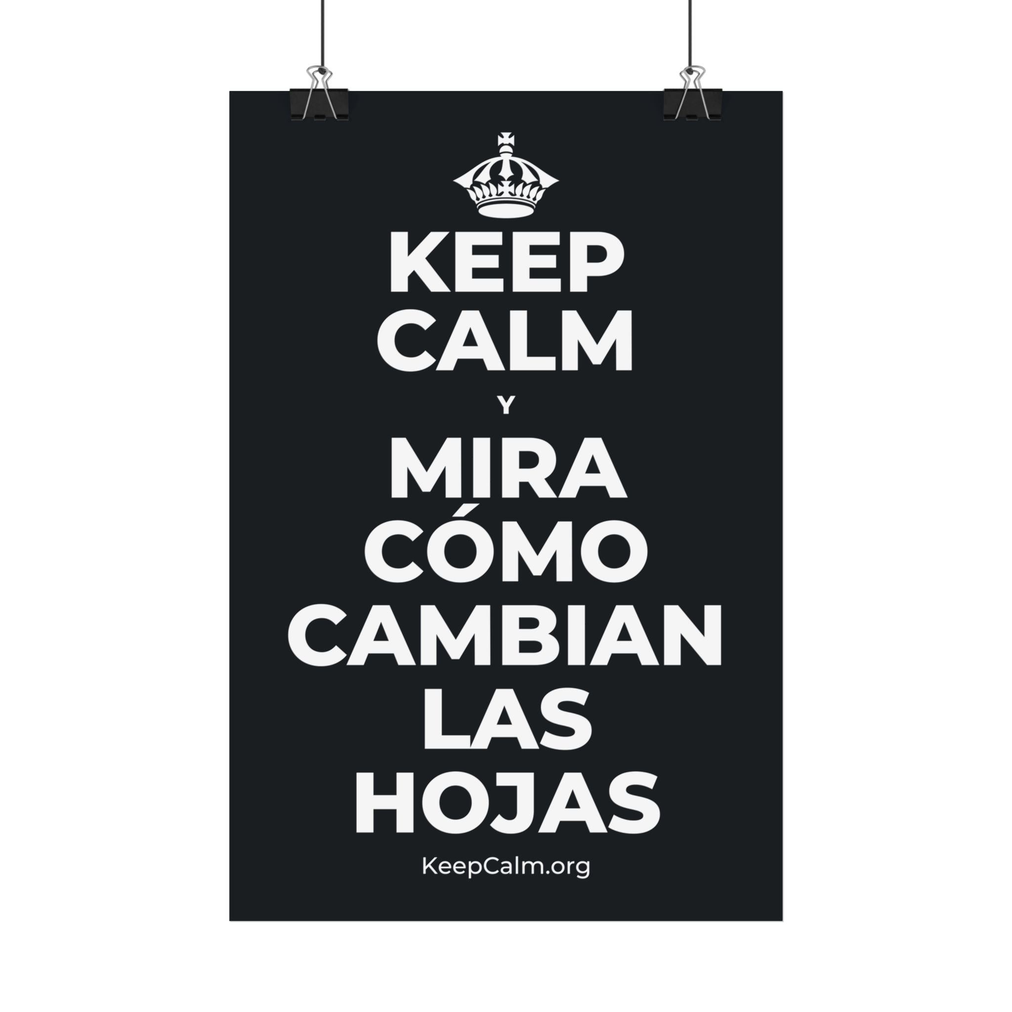 KEEP CALM Y MIRA CÓMO CAMBIAN LAS HOJAS Satin Poster (Dark)