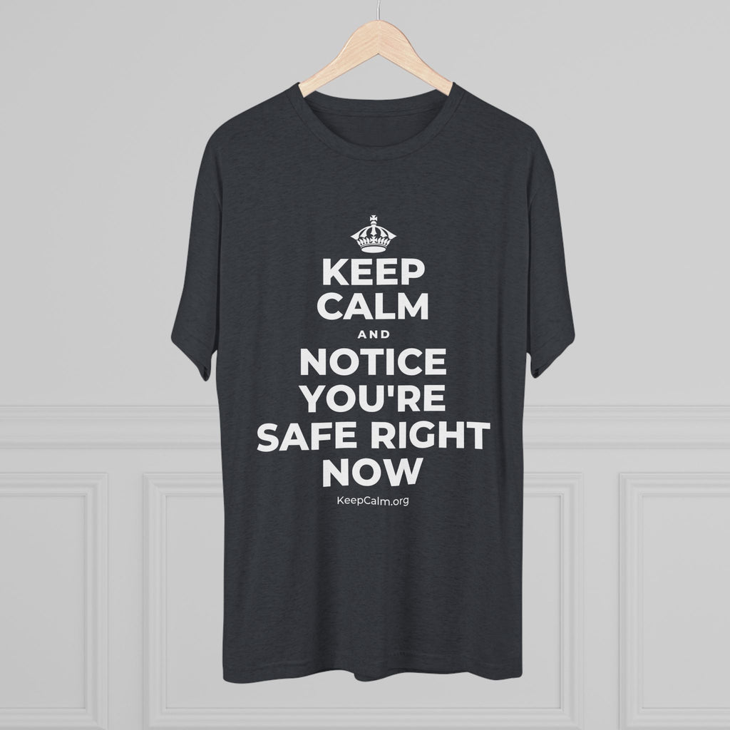 KEEP CALM AND NOTICE YOU'RE SAFE RIGHT NOW Tri-Blend Tee