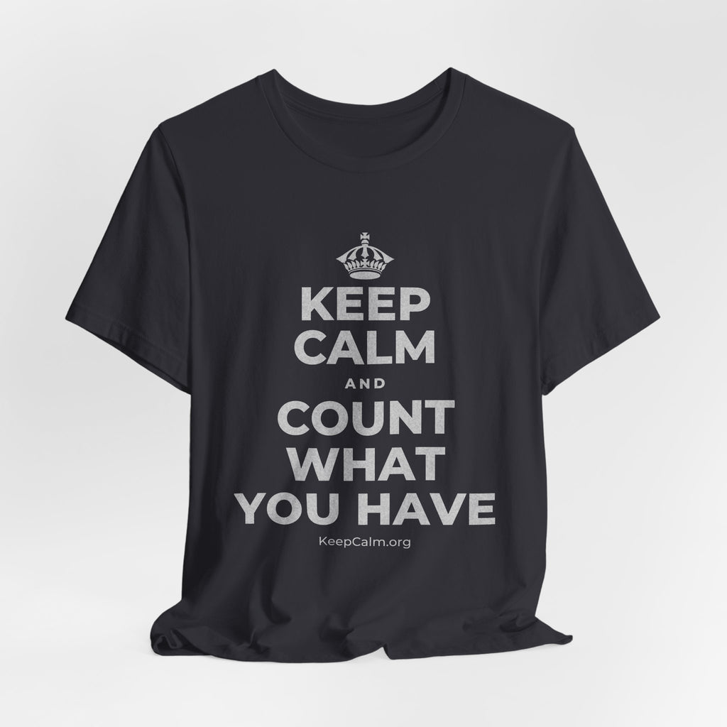 KEEP CALM AND COUNT WHAT YOU HAVE T-Shirt (Baby Blue–Silver)