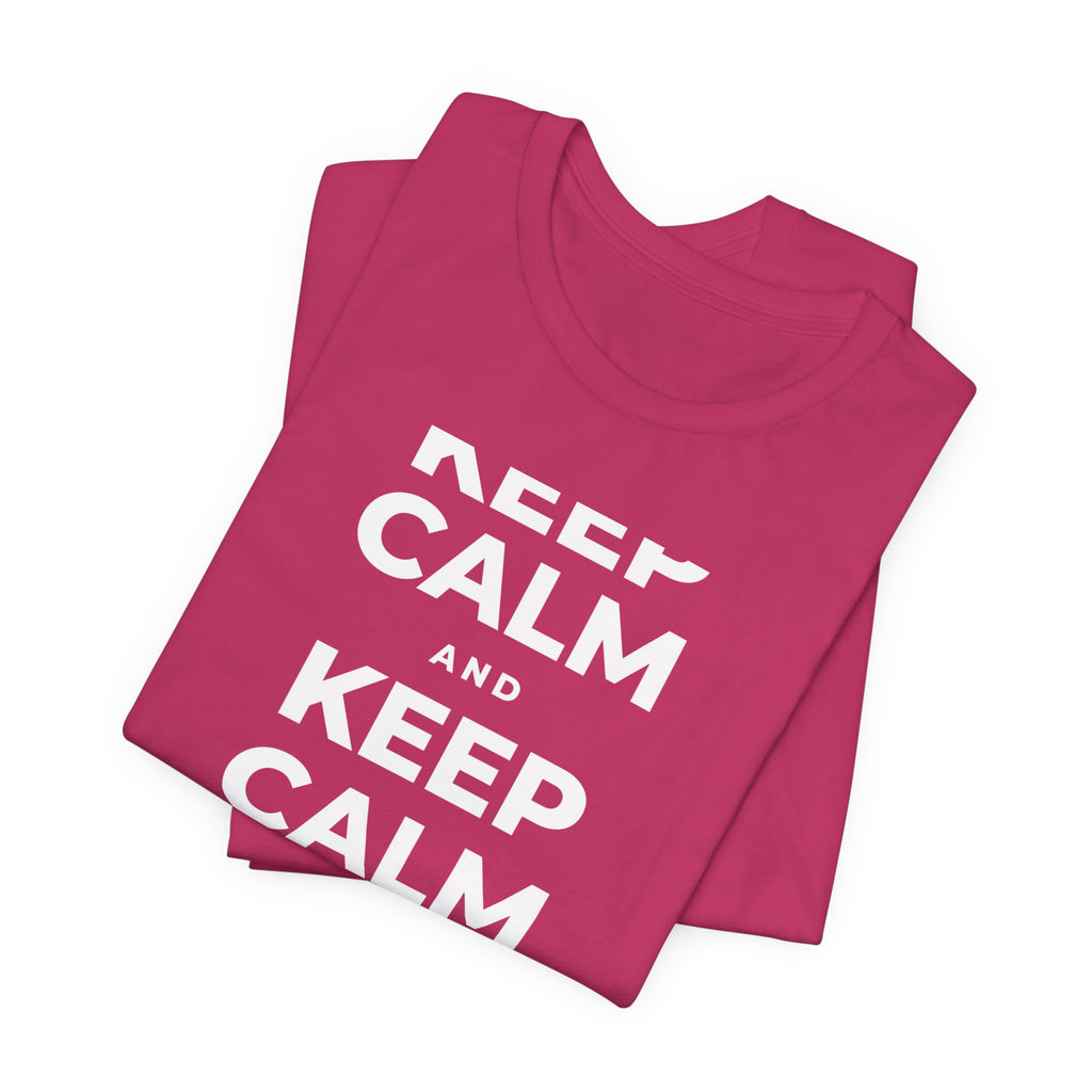 KEEP CALM AND TAKE A WALK T-Shirt (Baby Blue–Silver)