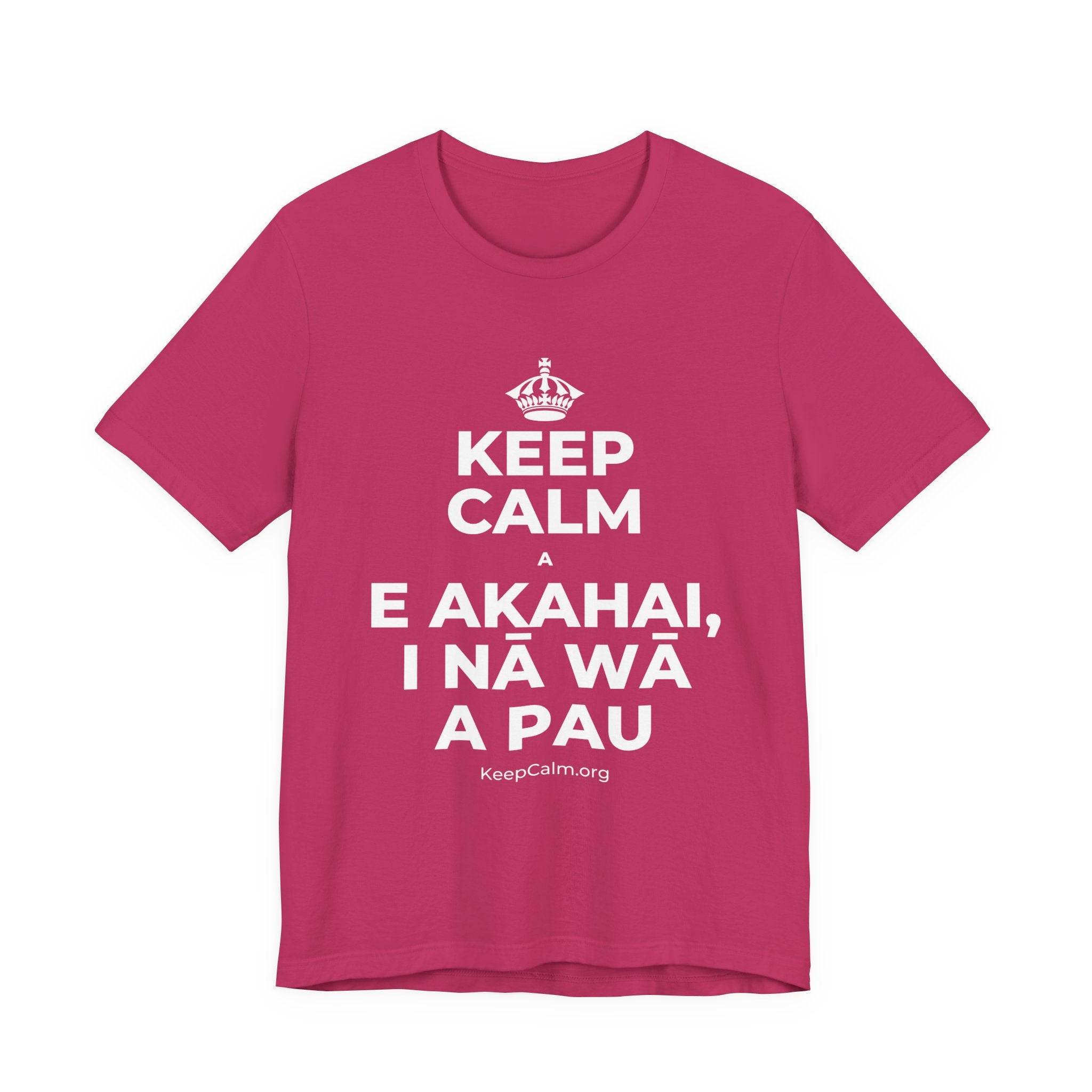 KEEP CALM A E AKAHAI, I NĀ WĀ A PAU T-Shirt (Baby Blue–Silver)