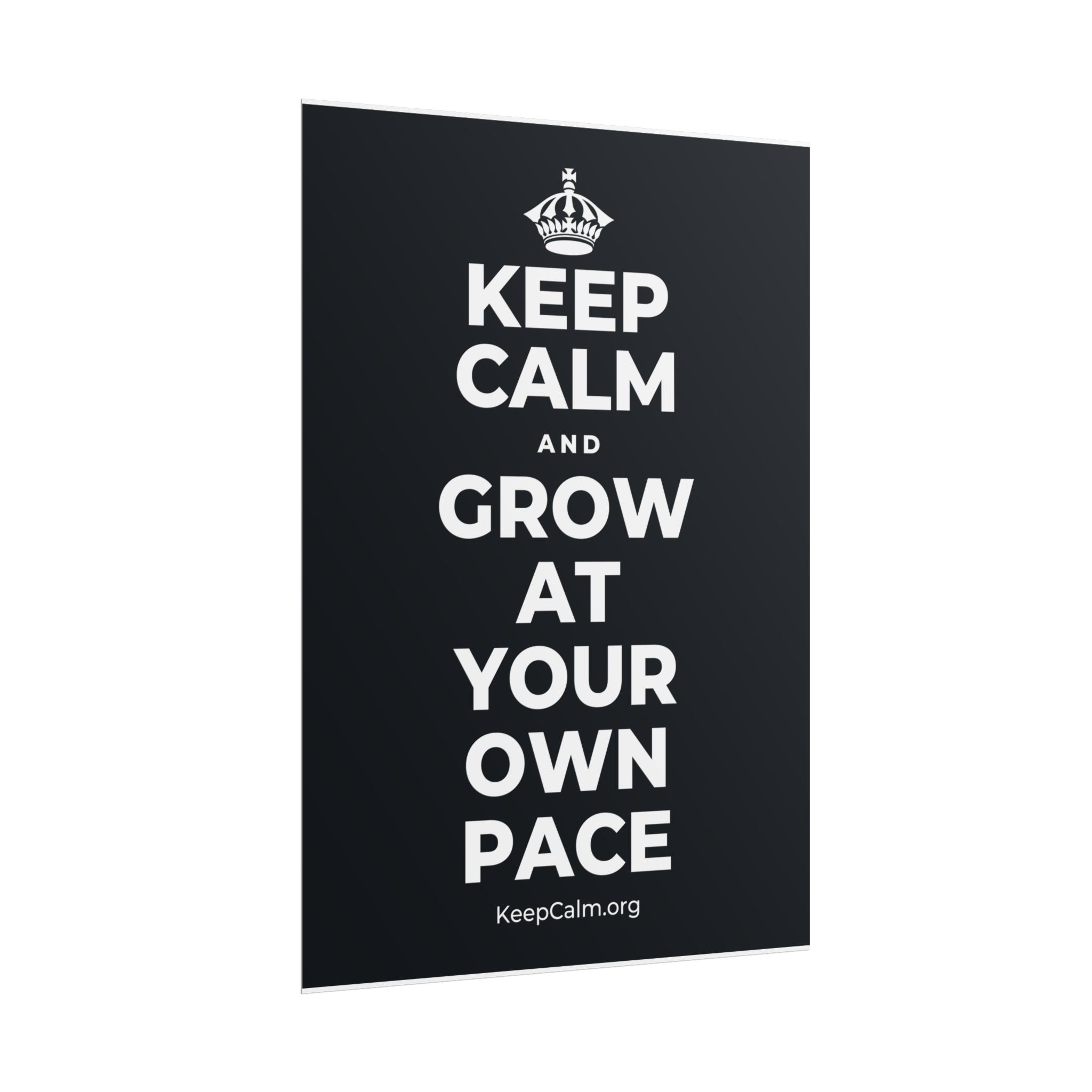 KEEP CALM AND GROW AT YOUR OWN PACE Poster (Dark)