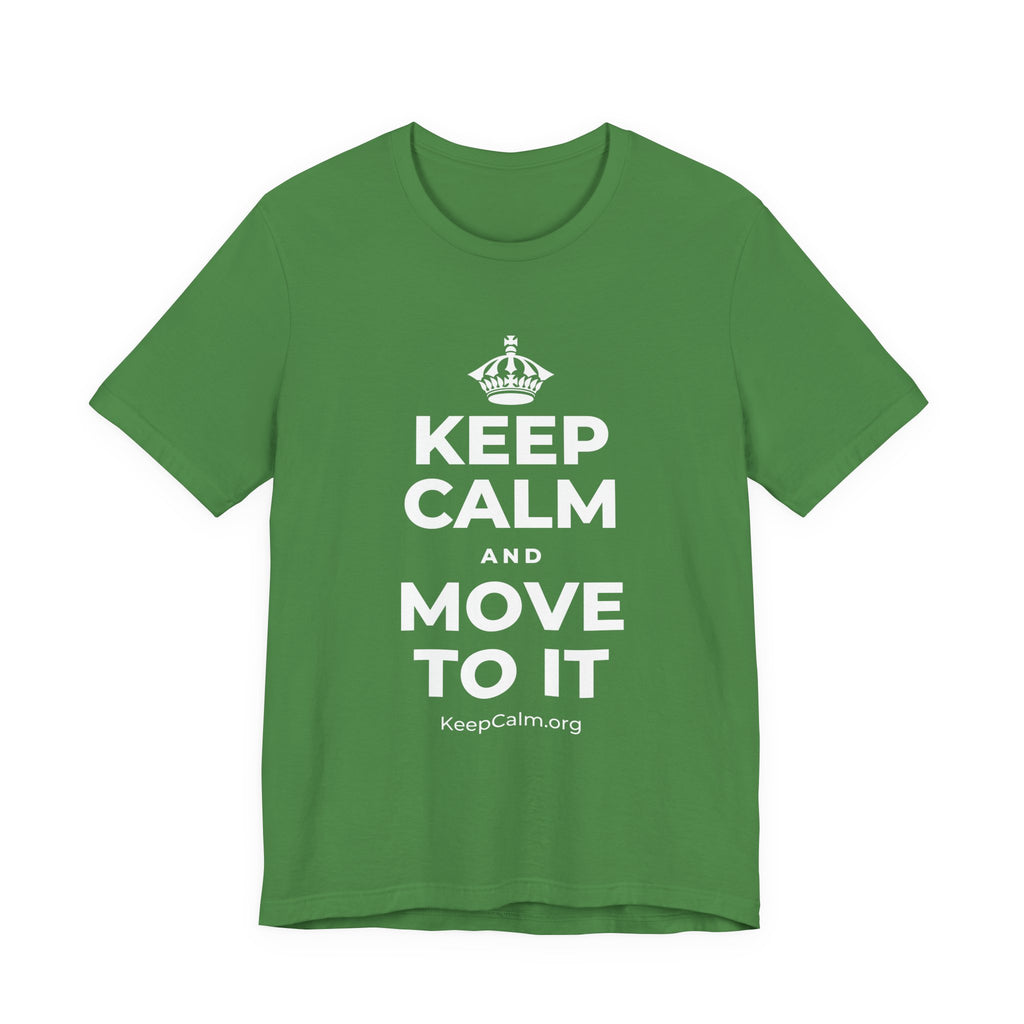 KEEP CALM AND MOVE TO IT T-Shirt (Baby Blue–Silver)