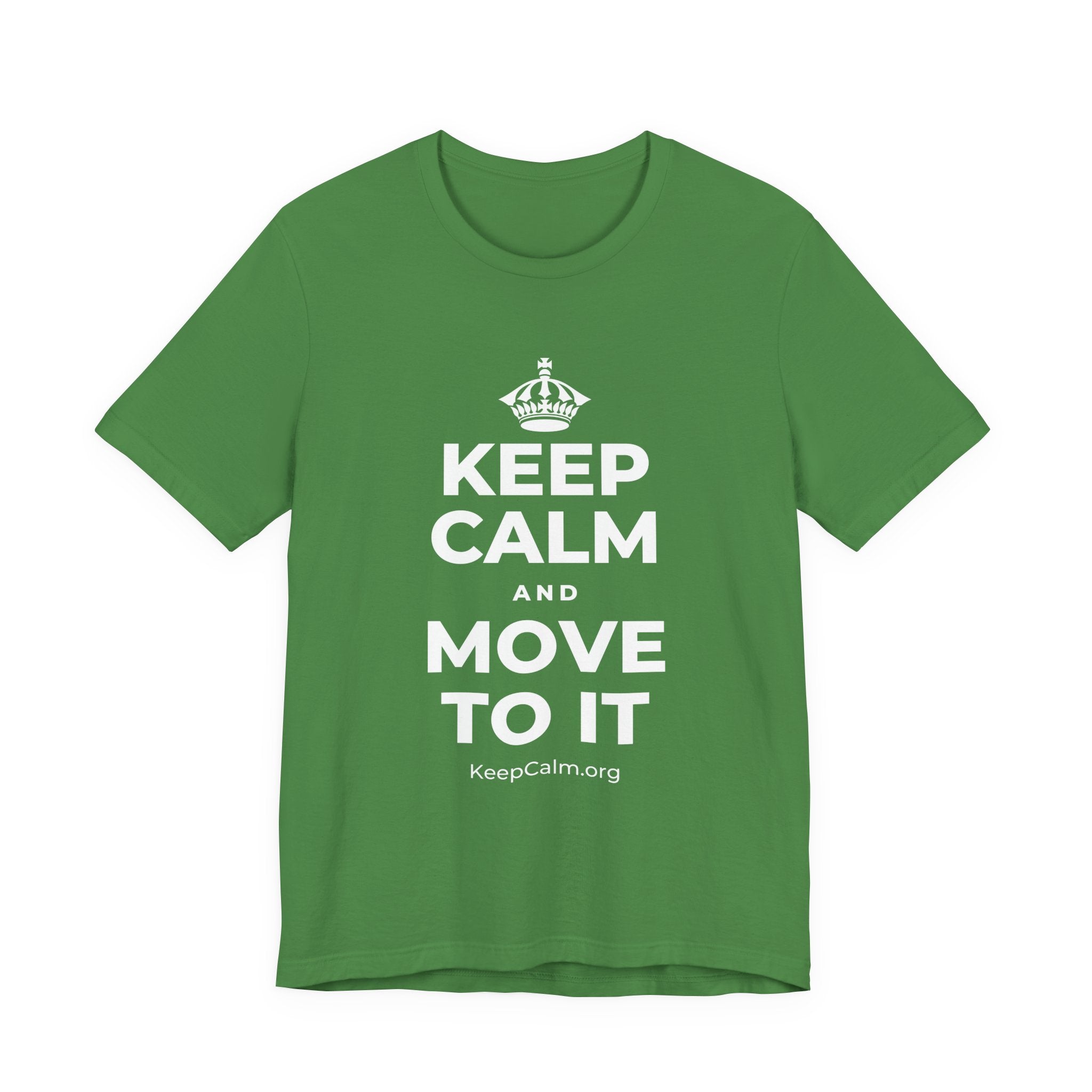 KEEP CALM AND MOVE TO IT T-Shirt (Baby Blue–Silver)