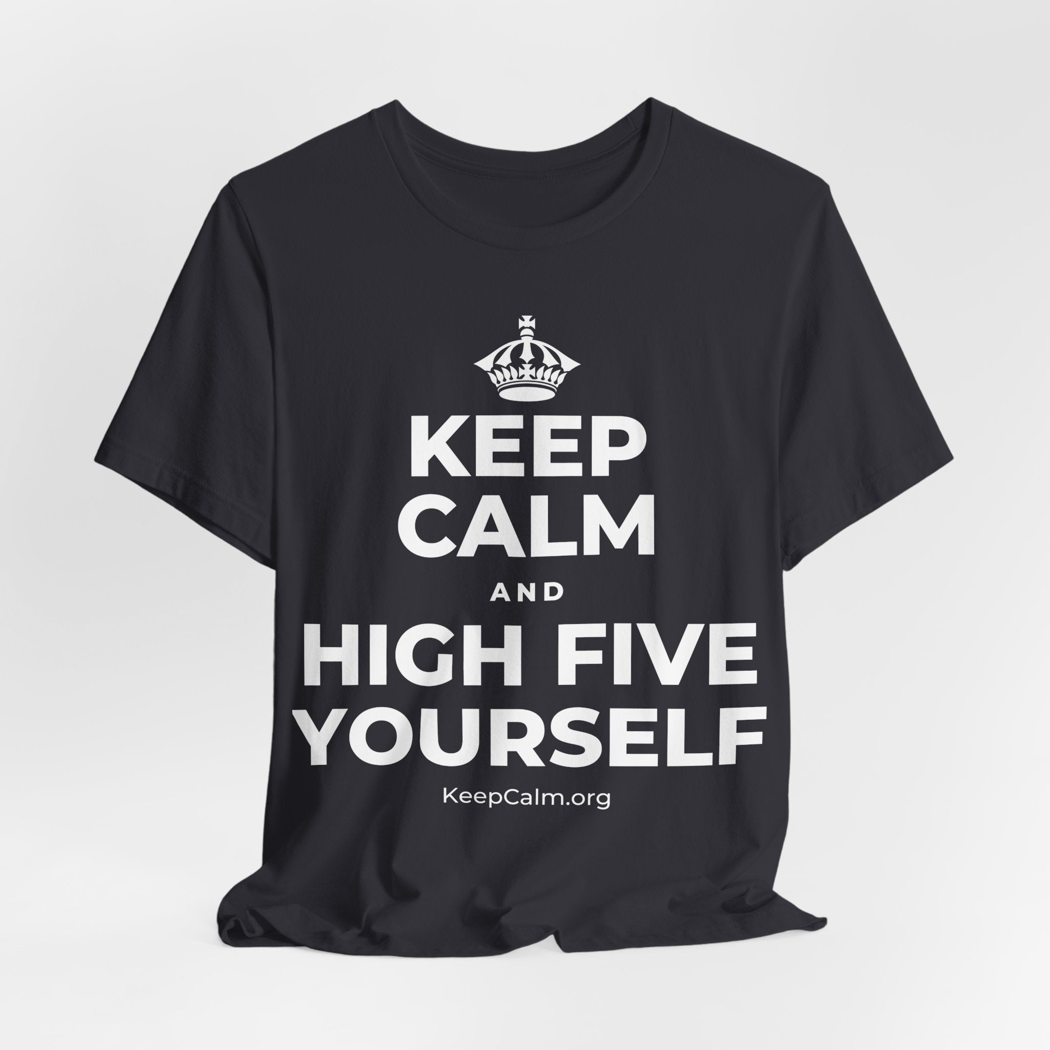 KEEP CALM AND HIGH FIVE YOURSELF T-Shirt (Baby Blue–Silver)