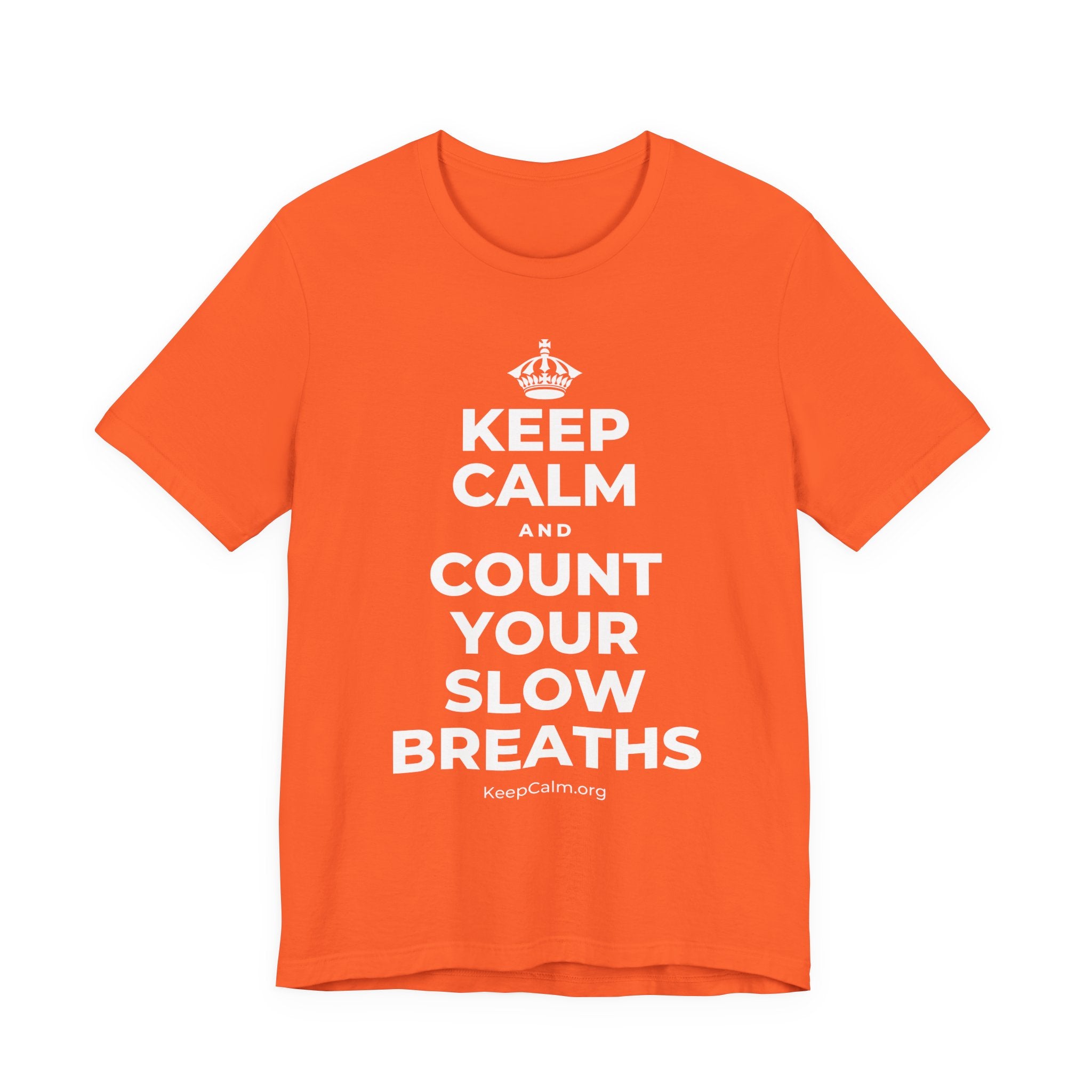 KEEP CALM AND COUNT YOUR SLOW BREATHS T-Shirt (Baby Blue–Silver)