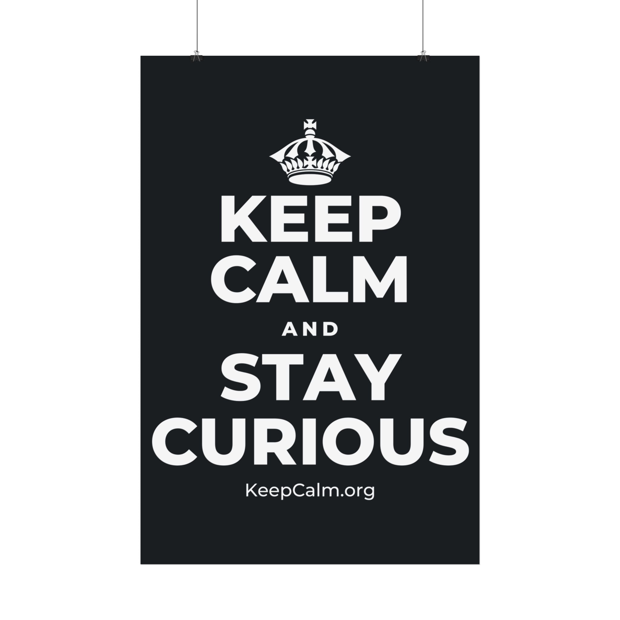 KEEP CALM AND STAY CURIOUS Satin Poster (Dark)