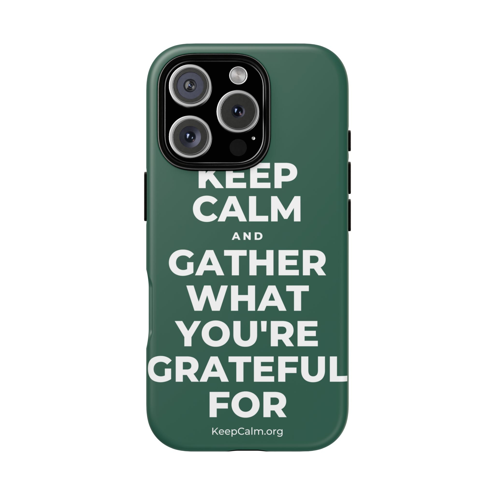 KEEP CALM AND GATHER WHAT YOU'RE GRATEFUL FOR Phone Case