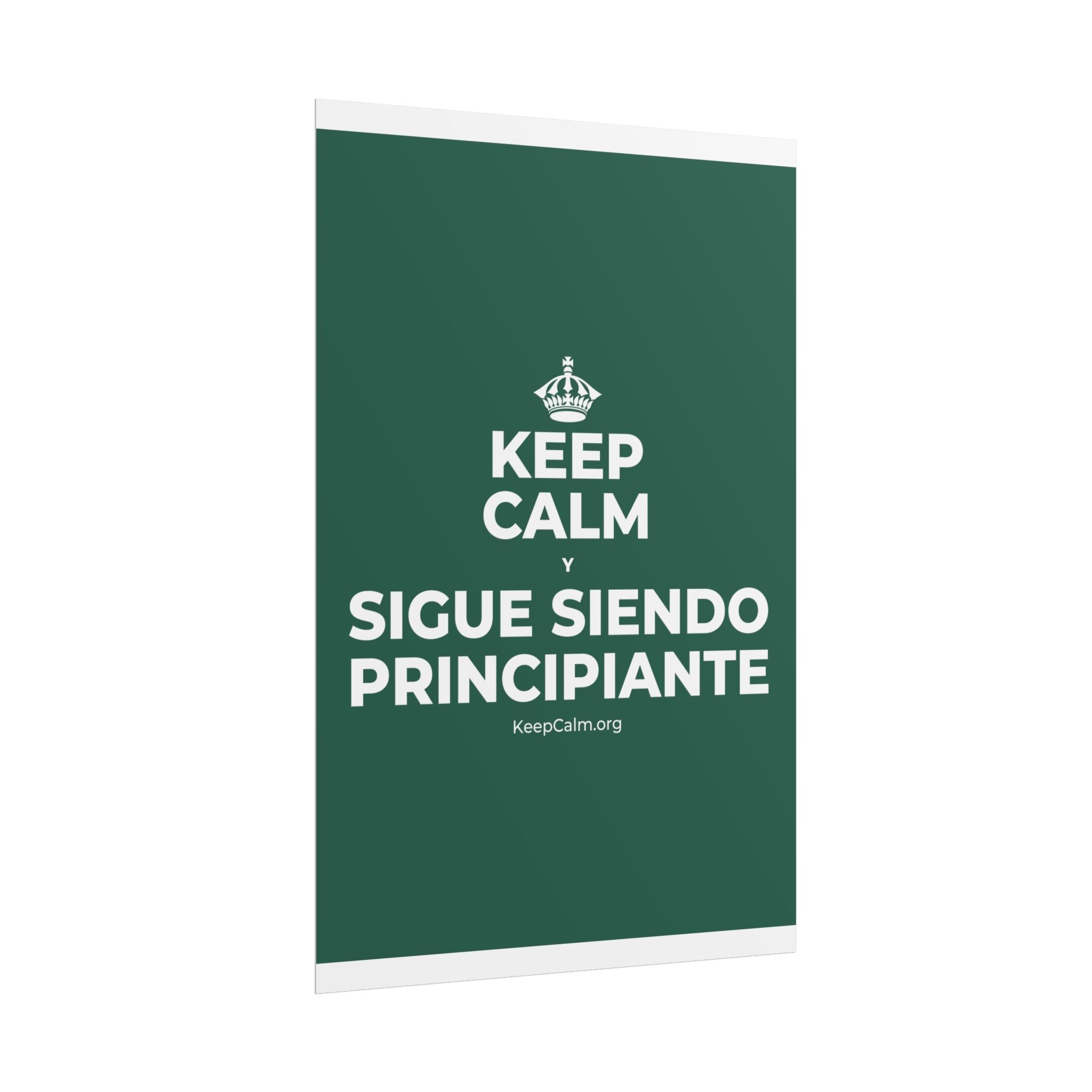 KEEP CALM Y SIGUE SIENDO PRINCIPIANTE Poster