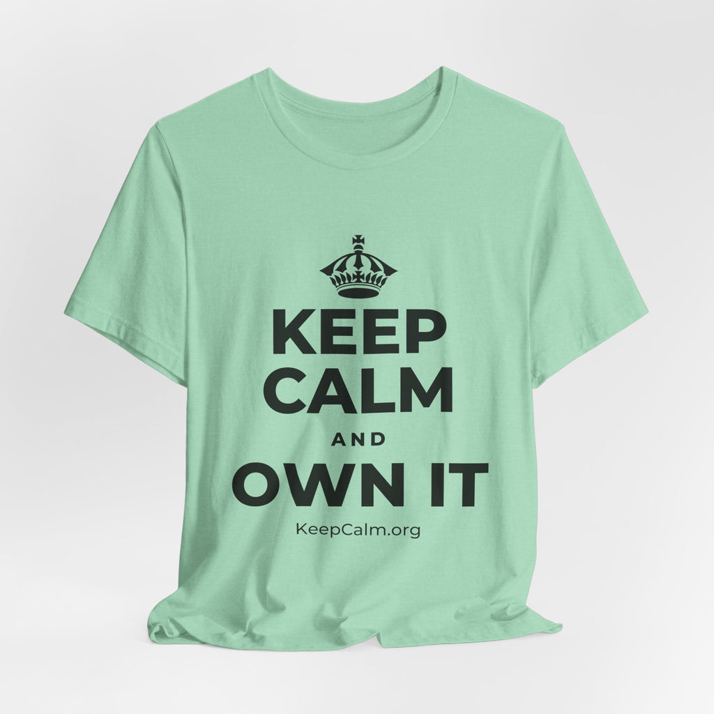 KEEP CALM AND OWN IT T-Shirt (Baby Blue–Silver)