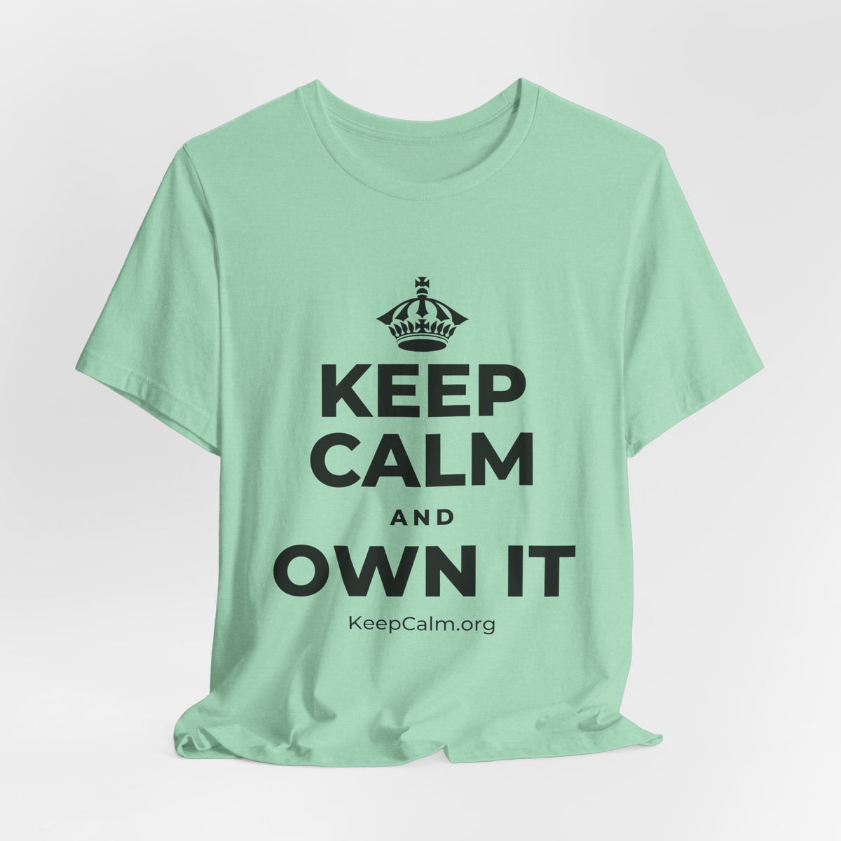 KEEP CALM AND OWN IT T-Shirt (Baby Blue–Silver)