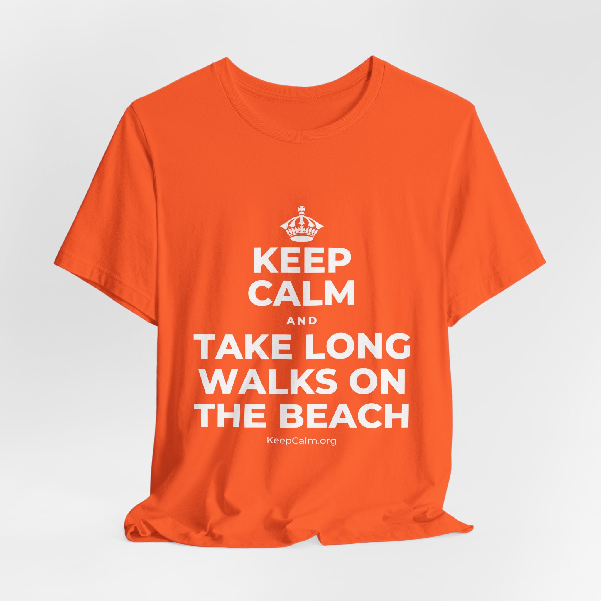 KEEP CALM AND TAKE LONG WALKS ON THE BEACH T-Shirt (Baby Blue–Silver)