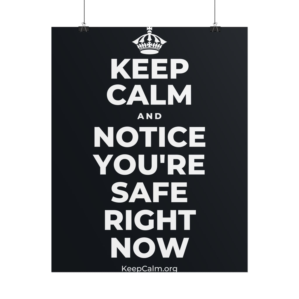 KEEP CALM AND NOTICE YOU'RE SAFE RIGHT NOW Poster (Dark)
