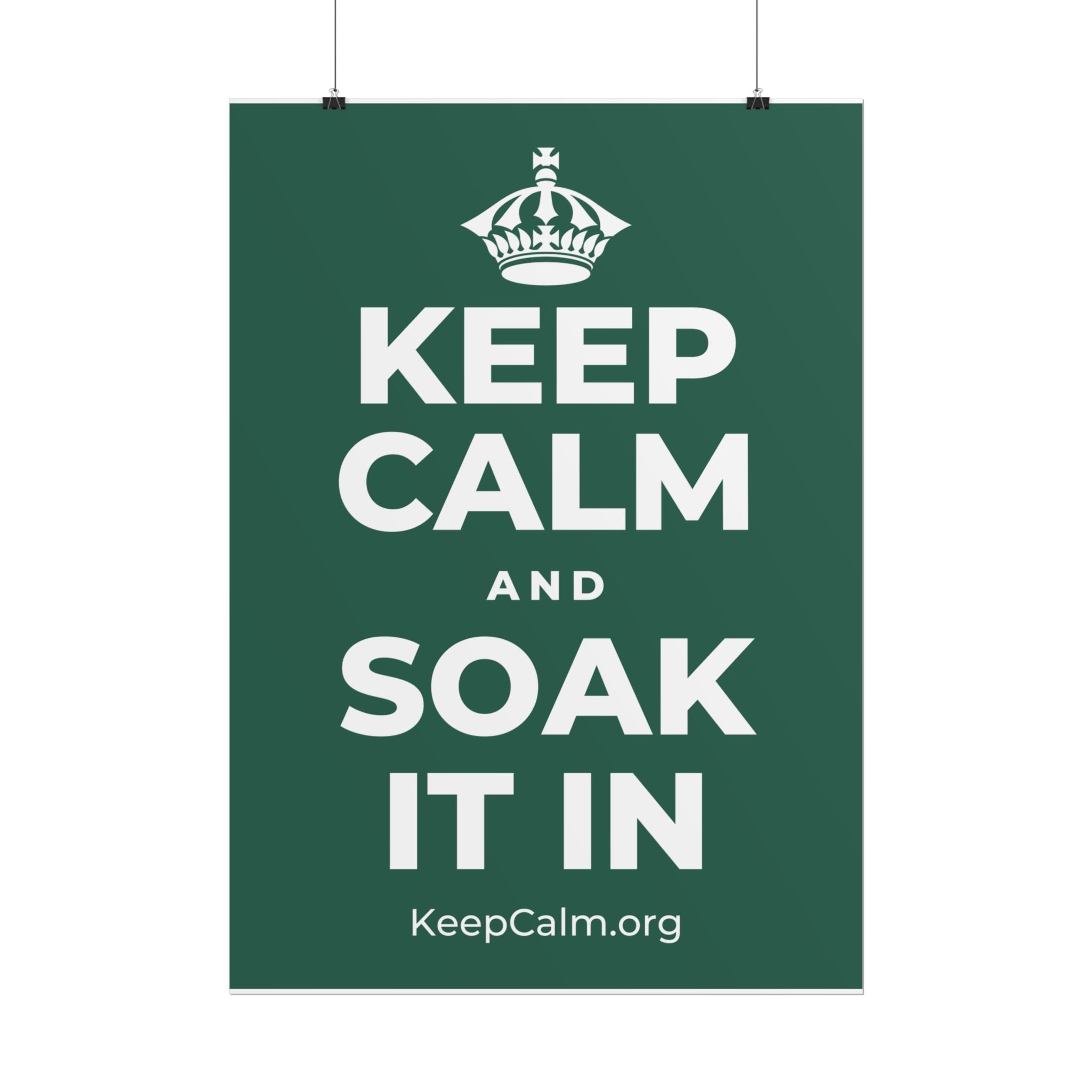 KEEP CALM AND SOAK IT IN Poster