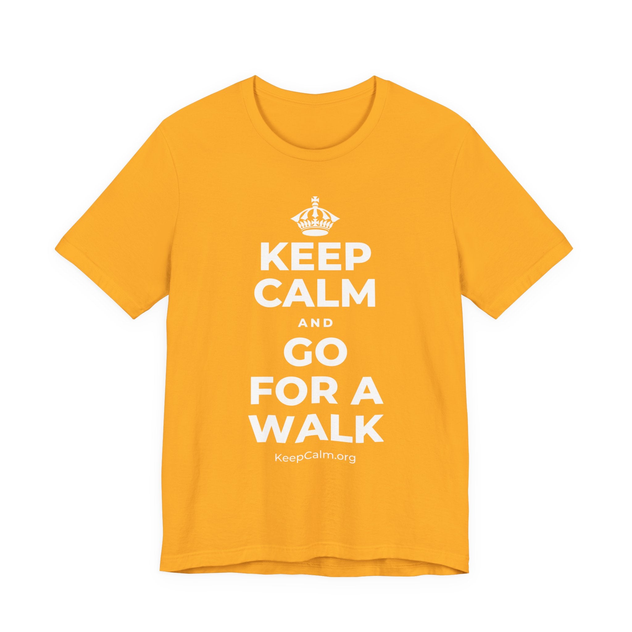 KEEP CALM AND GO FOR A WALK T-Shirt (Baby Blue–Silver)