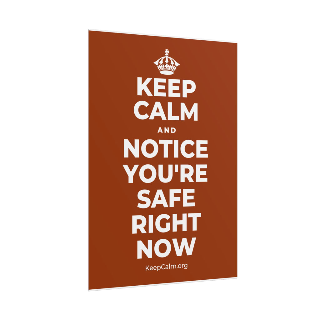 KEEP CALM AND NOTICE YOU'RE SAFE RIGHT NOW Poster