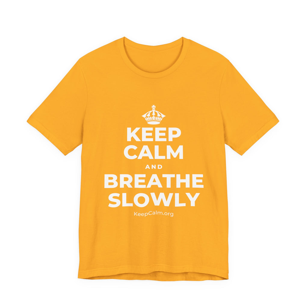KEEP CALM AND BREATHE SLOWLY T-Shirt (Baby Blue–Silver)