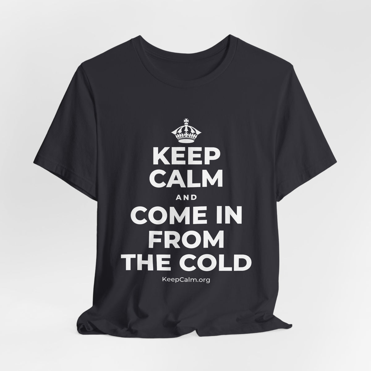 KEEP CALM AND COME IN FROM THE COLD T-Shirt (Baby Blue–Silver)