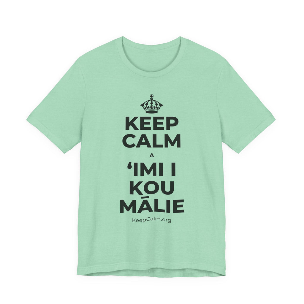 KEEP CALM A ʻIMI I KOU MĀLIE T-Shirt (Baby Blue–Silver)