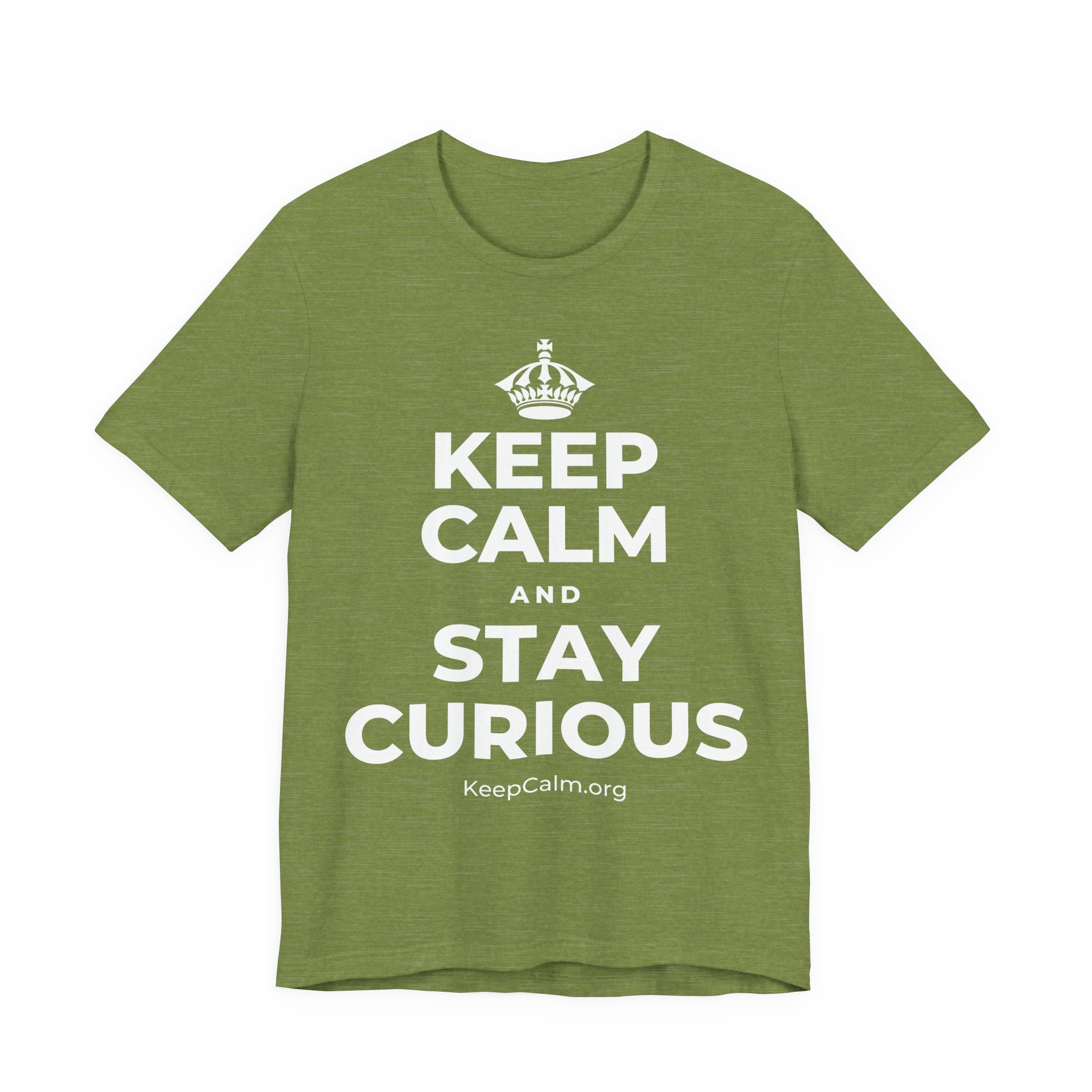 KEEP CALM AND STAY CURIOUS T-Shirt (Baby Blue–Silver)