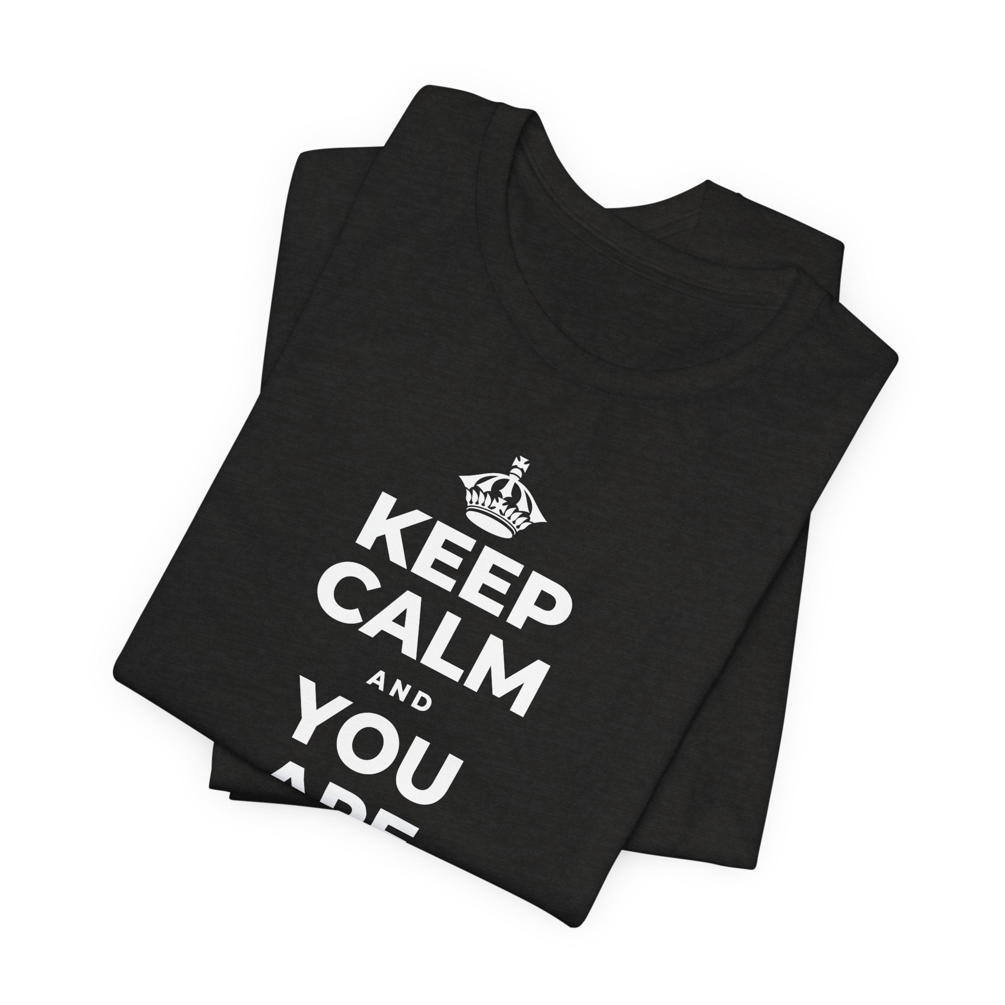 KEEP CALM AND YOU ARE DOING GREAT TODAY T-Shirt (Soft Cream–Heather Mauve)