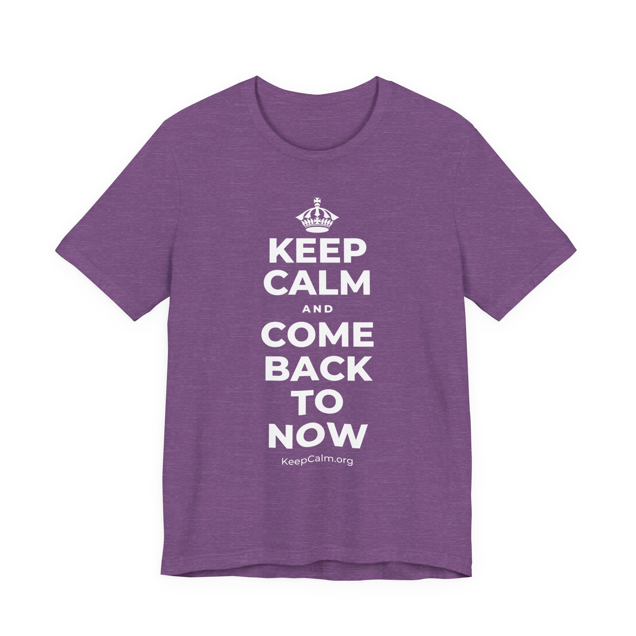KEEP CALM AND COME BACK TO NOW T-Shirt (Baby Blue–Silver)