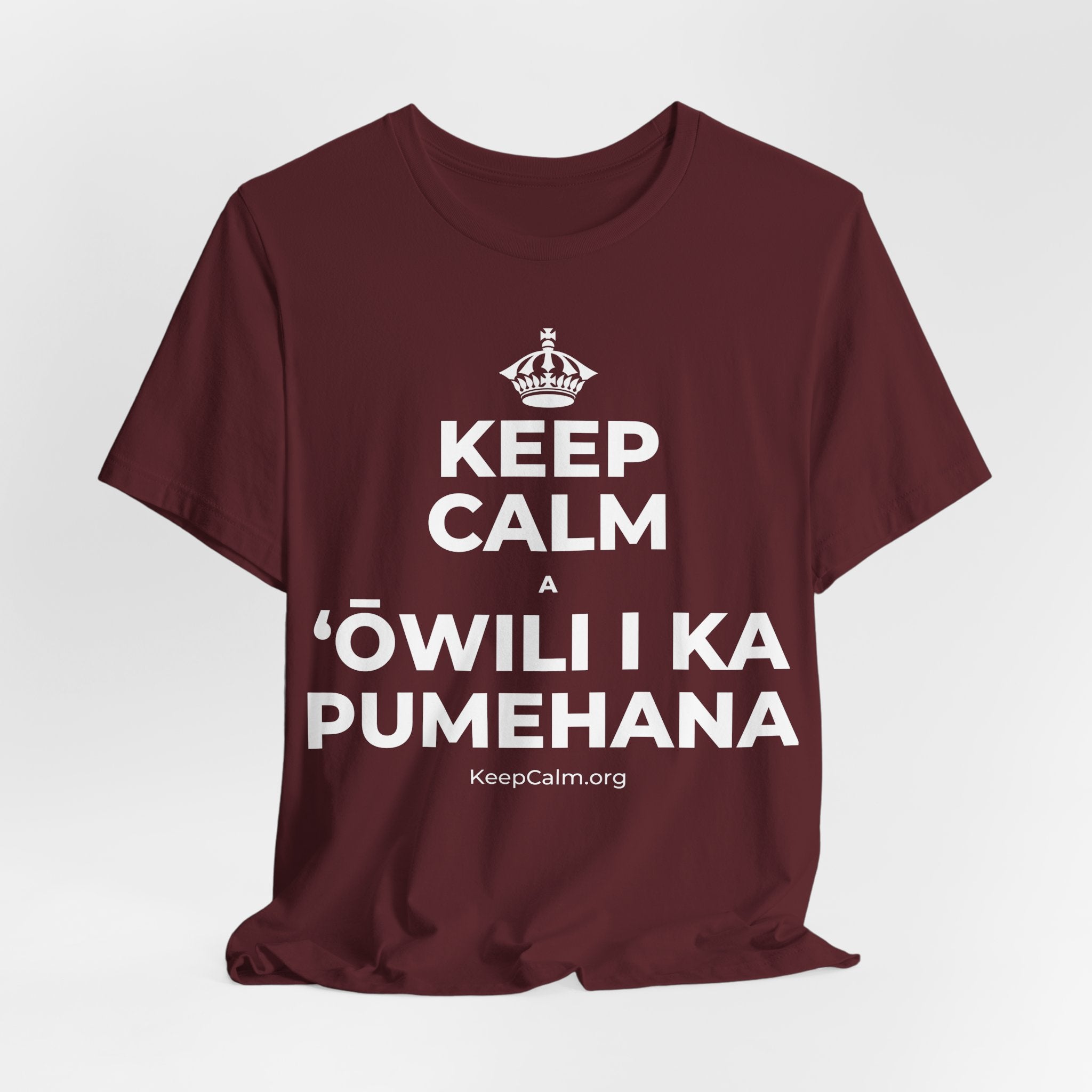 KEEP CALM A ʻŌWILI I KA PUMEHANA T-Shirt (Baby Blue–Silver)