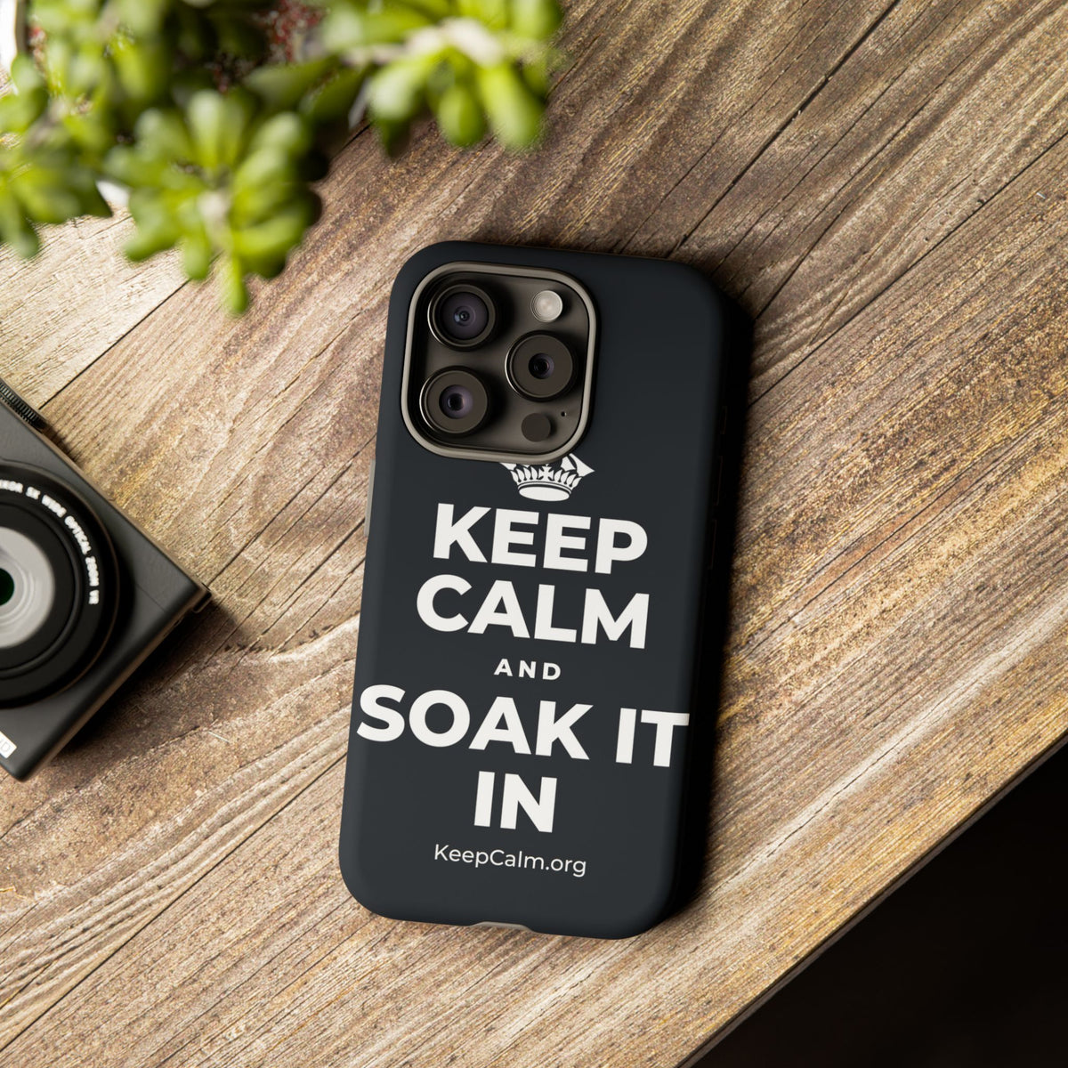 KEEP CALM AND SOAK IT IN Phone Case (Dark)