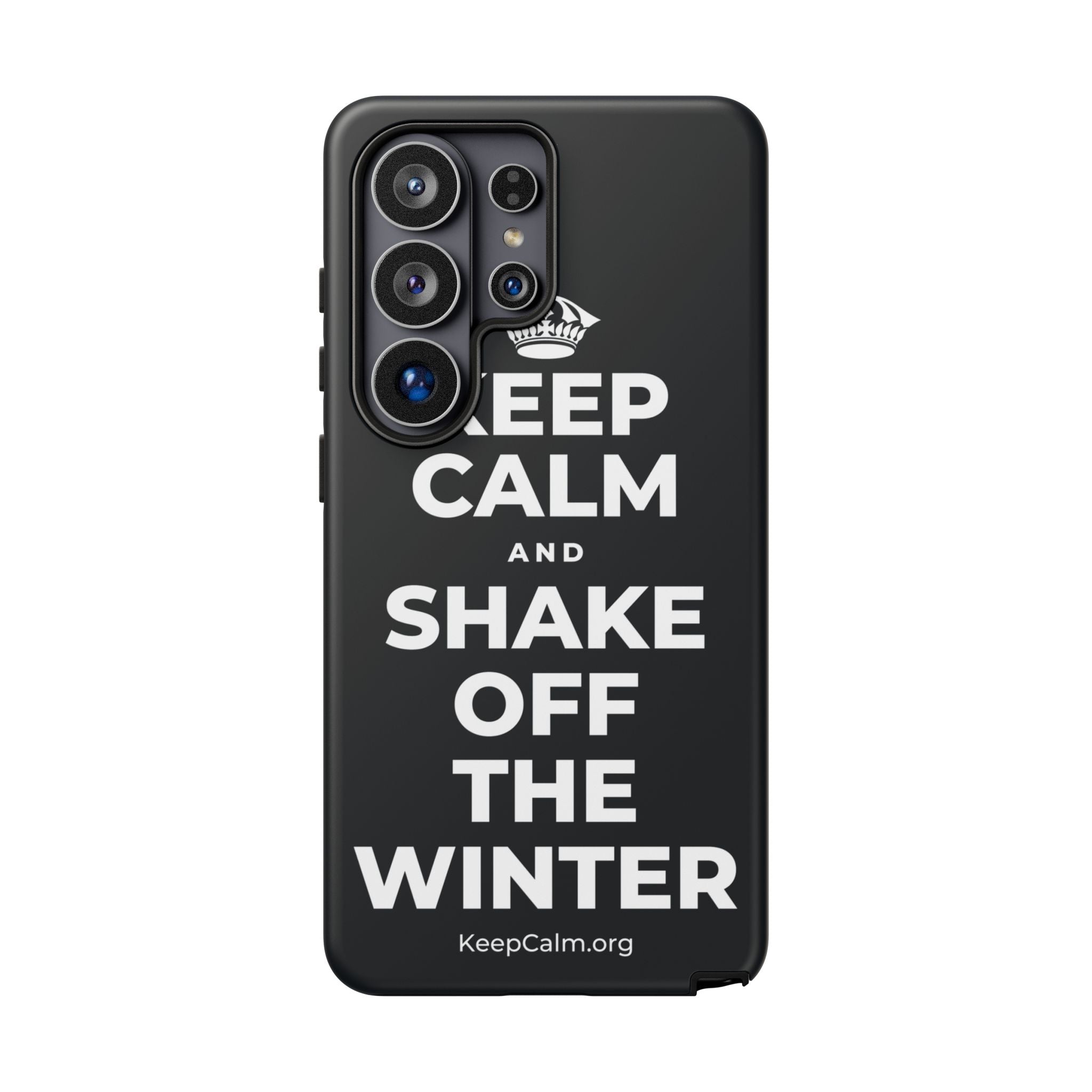 KEEP CALM AND SHAKE OFF THE WINTER Phone Case (Dark)