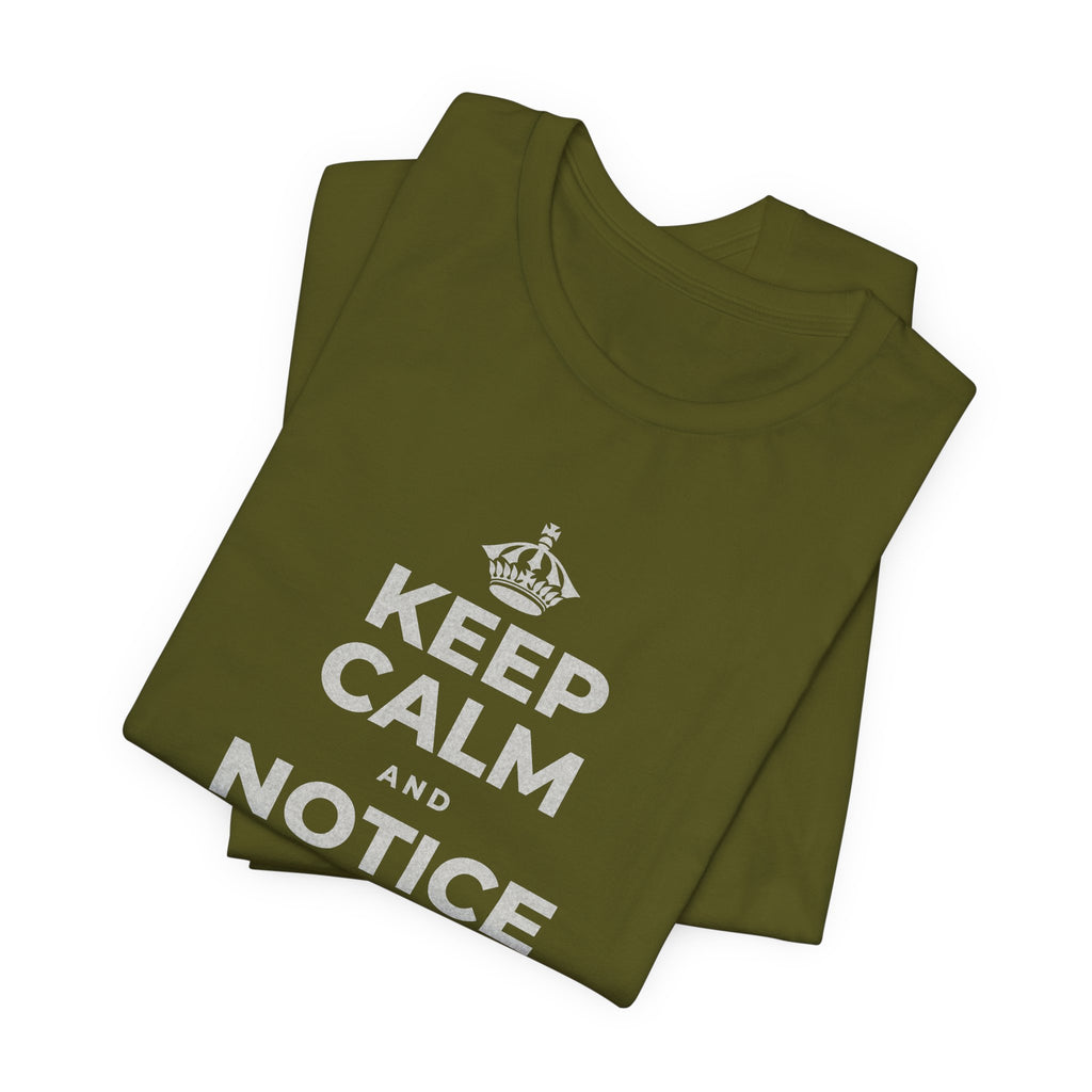KEEP CALM AND NOTICE YOU'RE SAFE RIGHT NOW T-Shirt (Baby Blue–Silver)