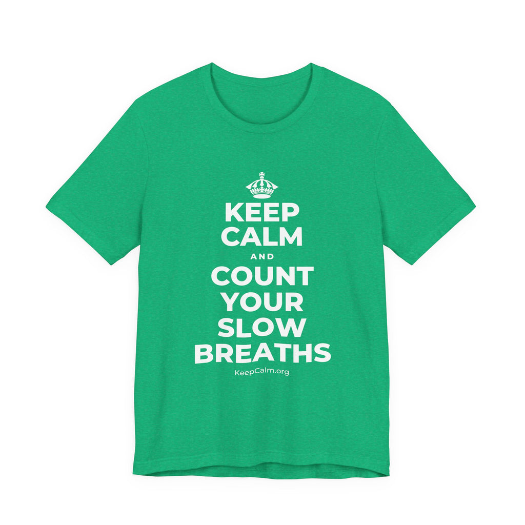 KEEP CALM AND COUNT YOUR SLOW BREATHS T-Shirt (Baby Blue–Silver)