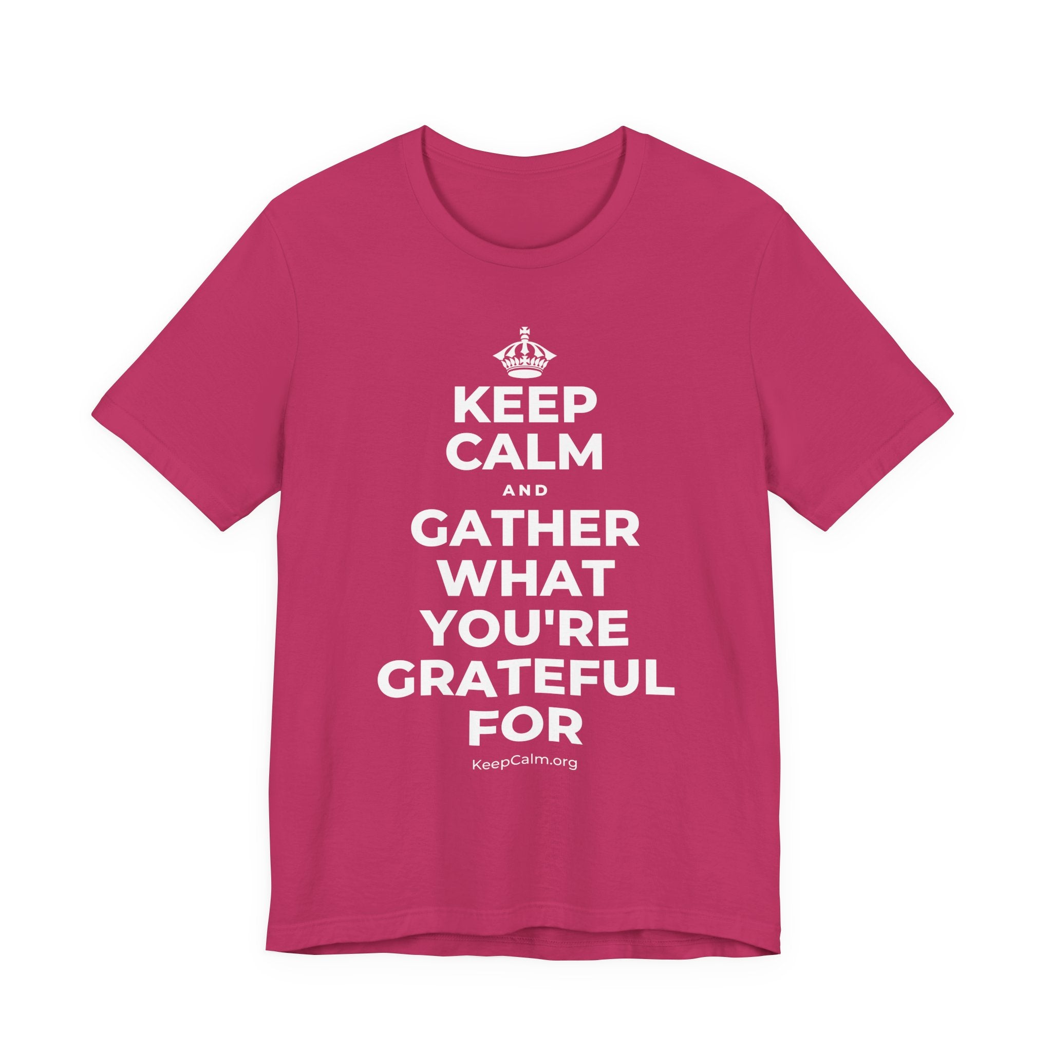 KEEP CALM AND GATHER WHAT YOU'RE GRATEFUL FOR T-Shirt (Baby Blue–Silver)