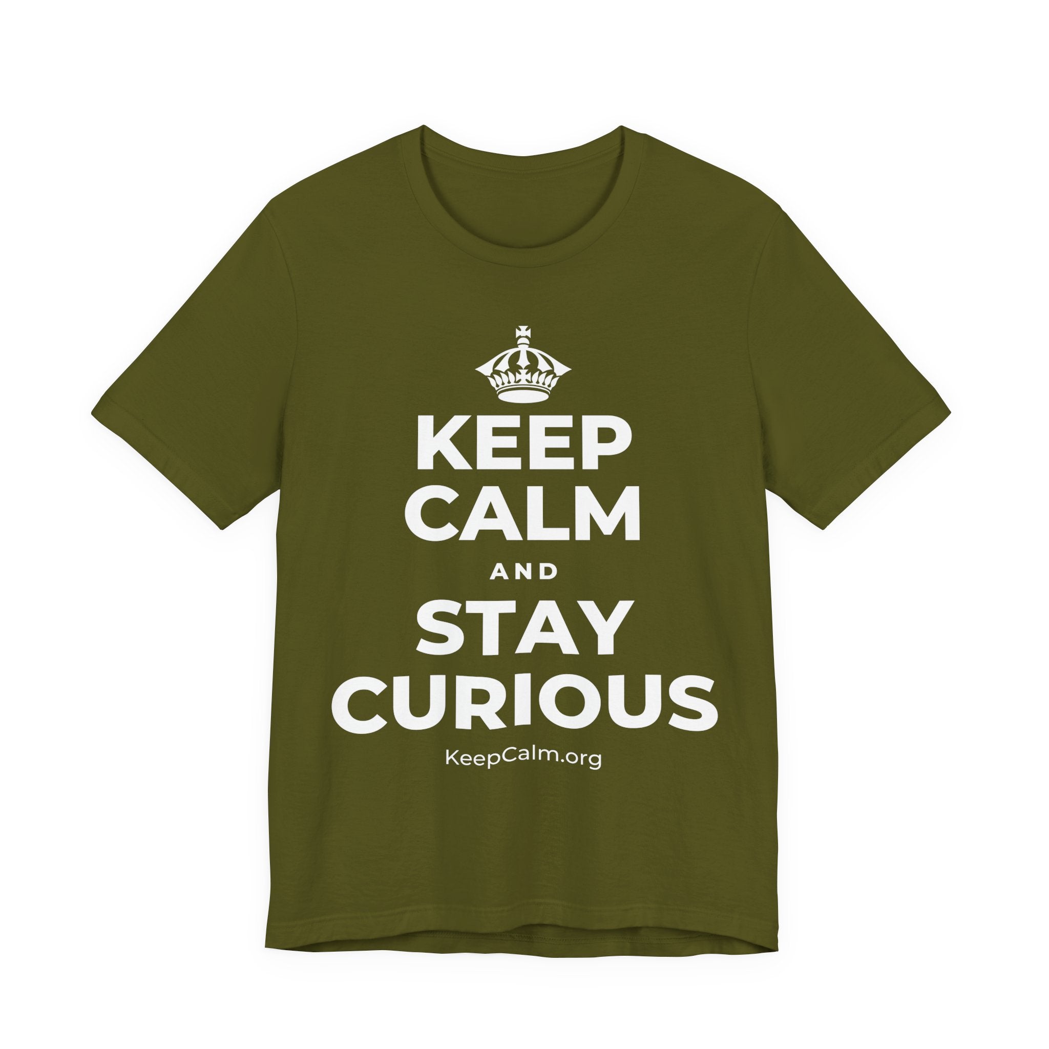 KEEP CALM AND STAY CURIOUS T-Shirt (Baby Blue–Silver)