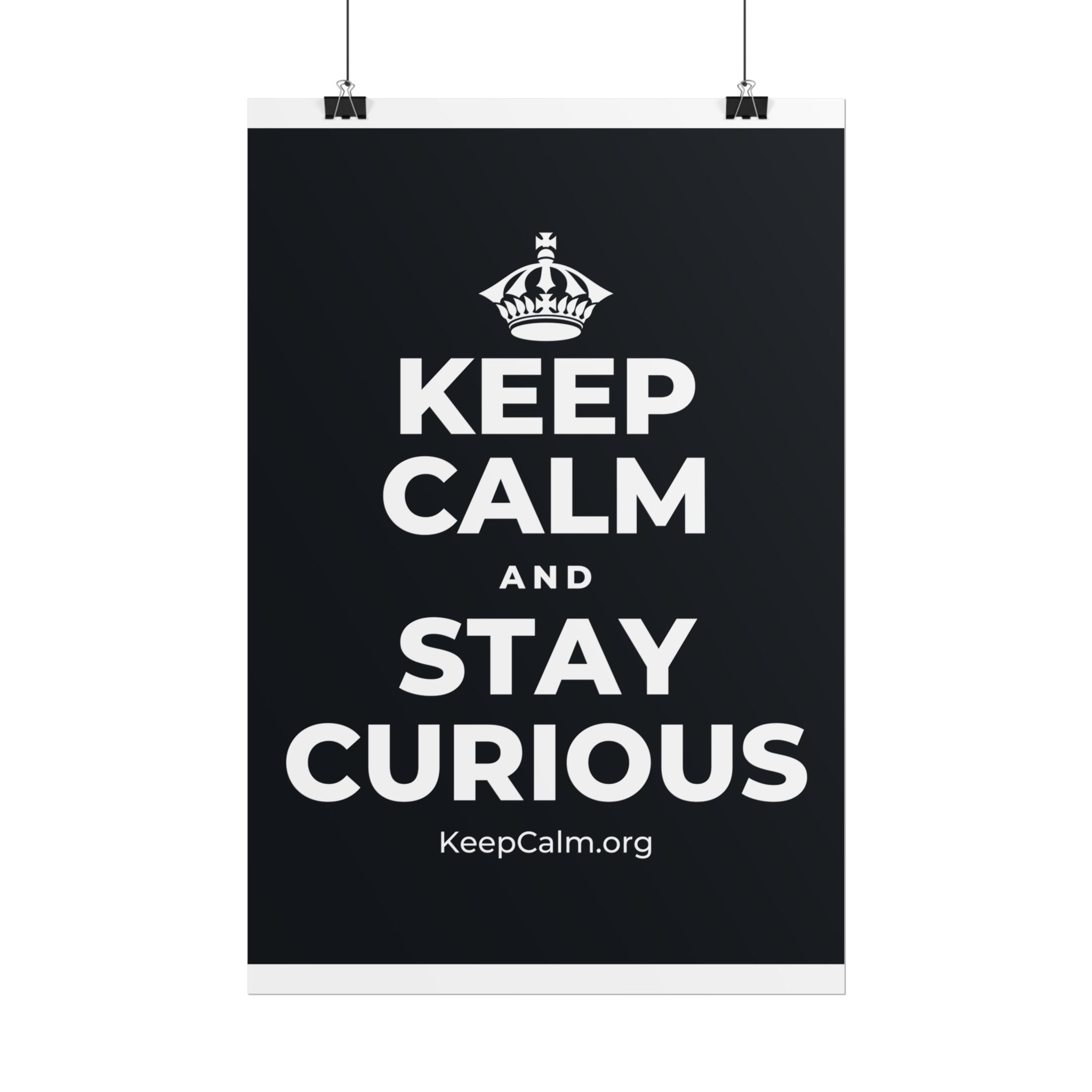 KEEP CALM AND STAY CURIOUS Poster (Dark)